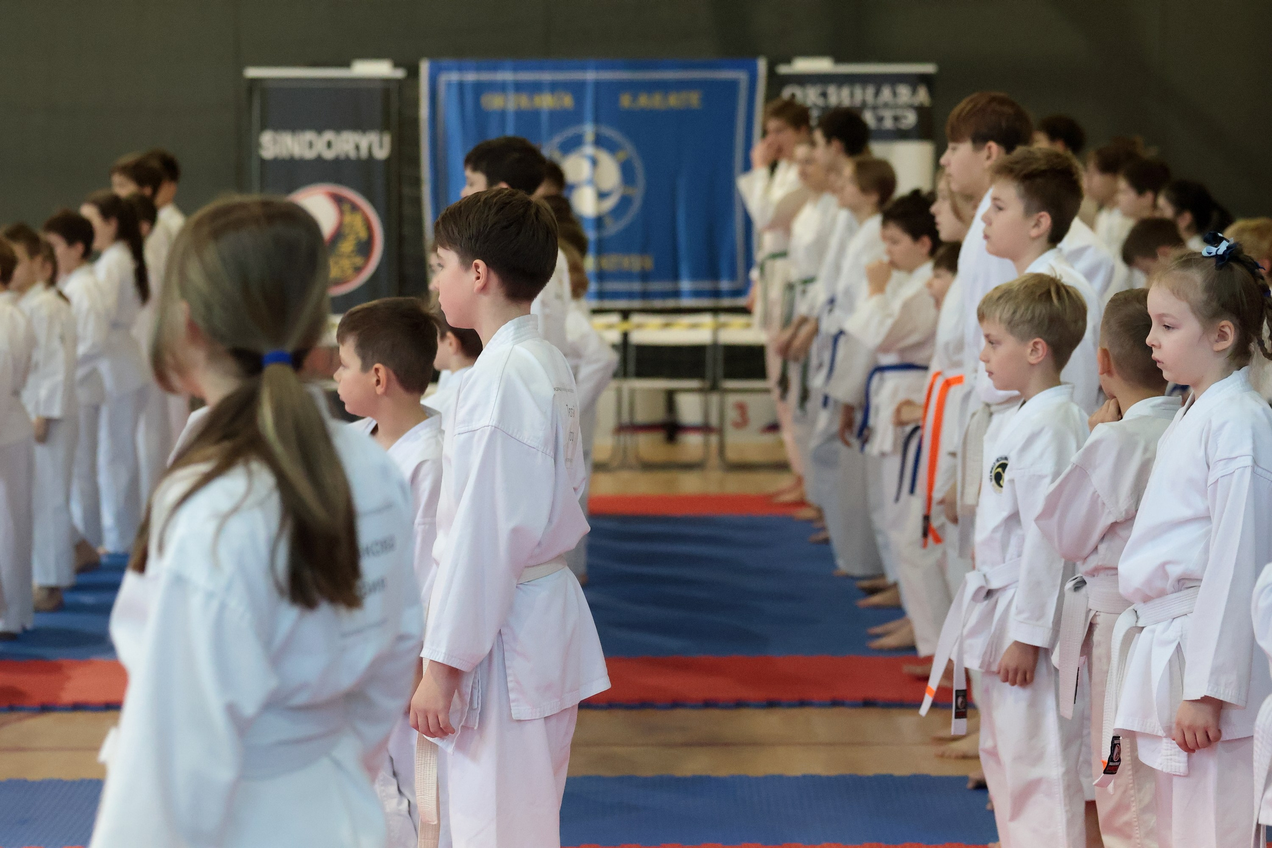 ЧЕМПИОНАТ ПО ОКИНАВА КАРАТЭ (ТЭГУМИ). Спортивный и репортажный фотограф Ермакова Светлана