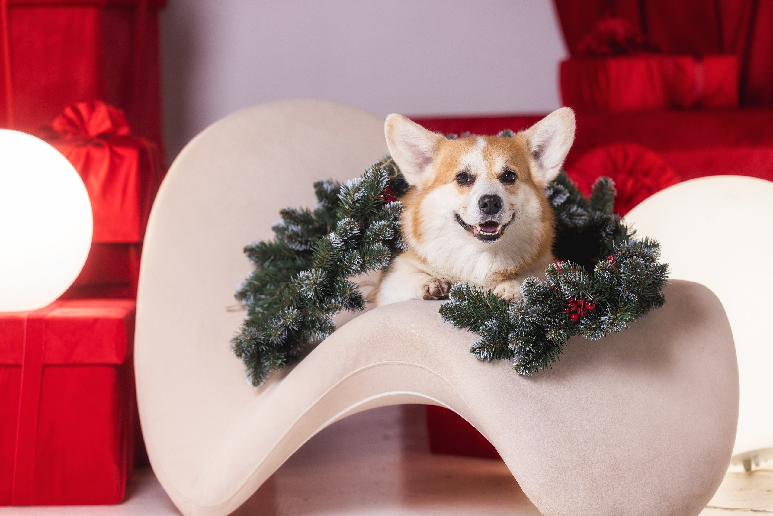 Фотограф Алена Звездина