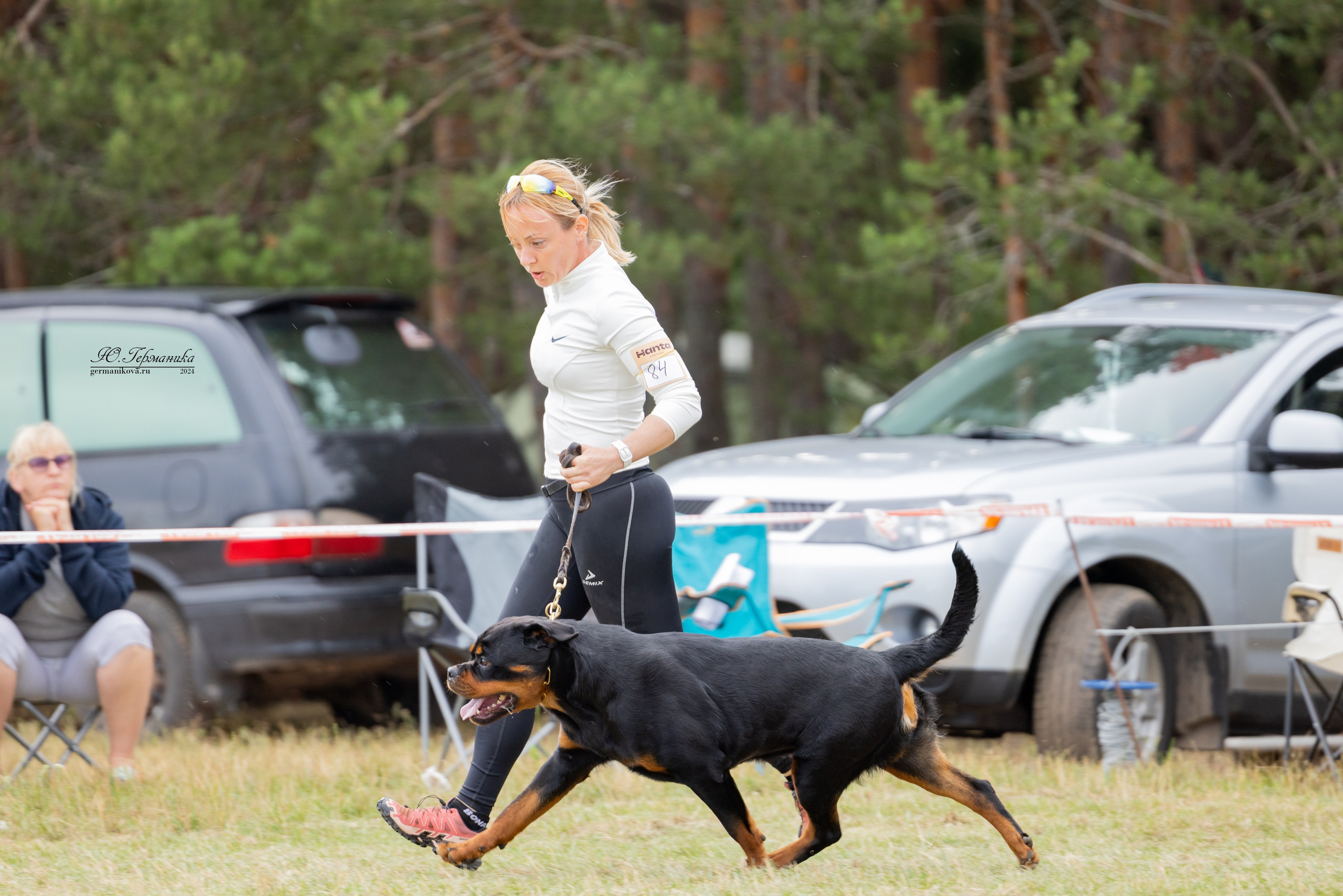 ПК и КЧК ротвейлеры Тверь 6-7.07.2024. Фотограф-анималист Юлия Германика