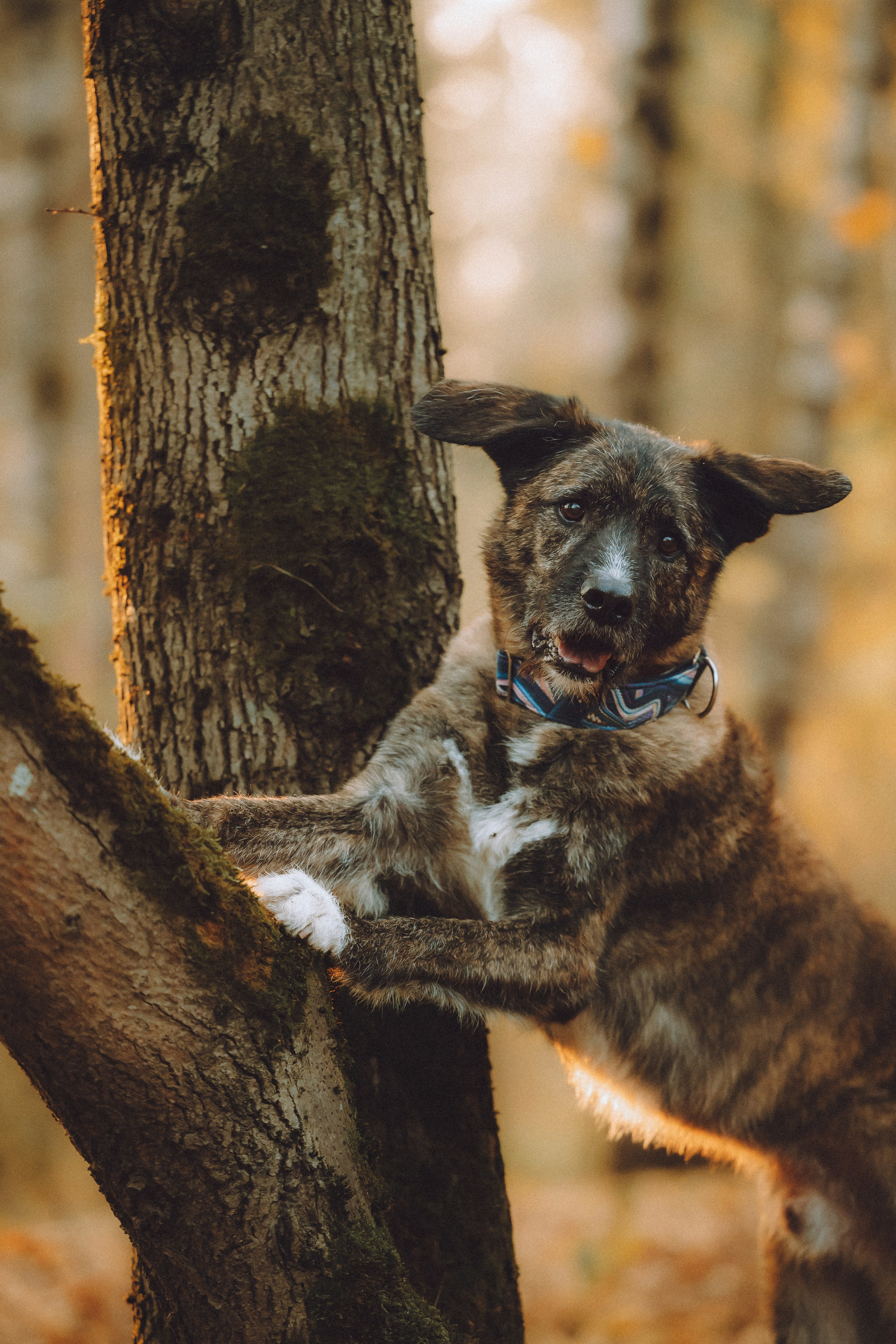 Рик, Джек и их семья