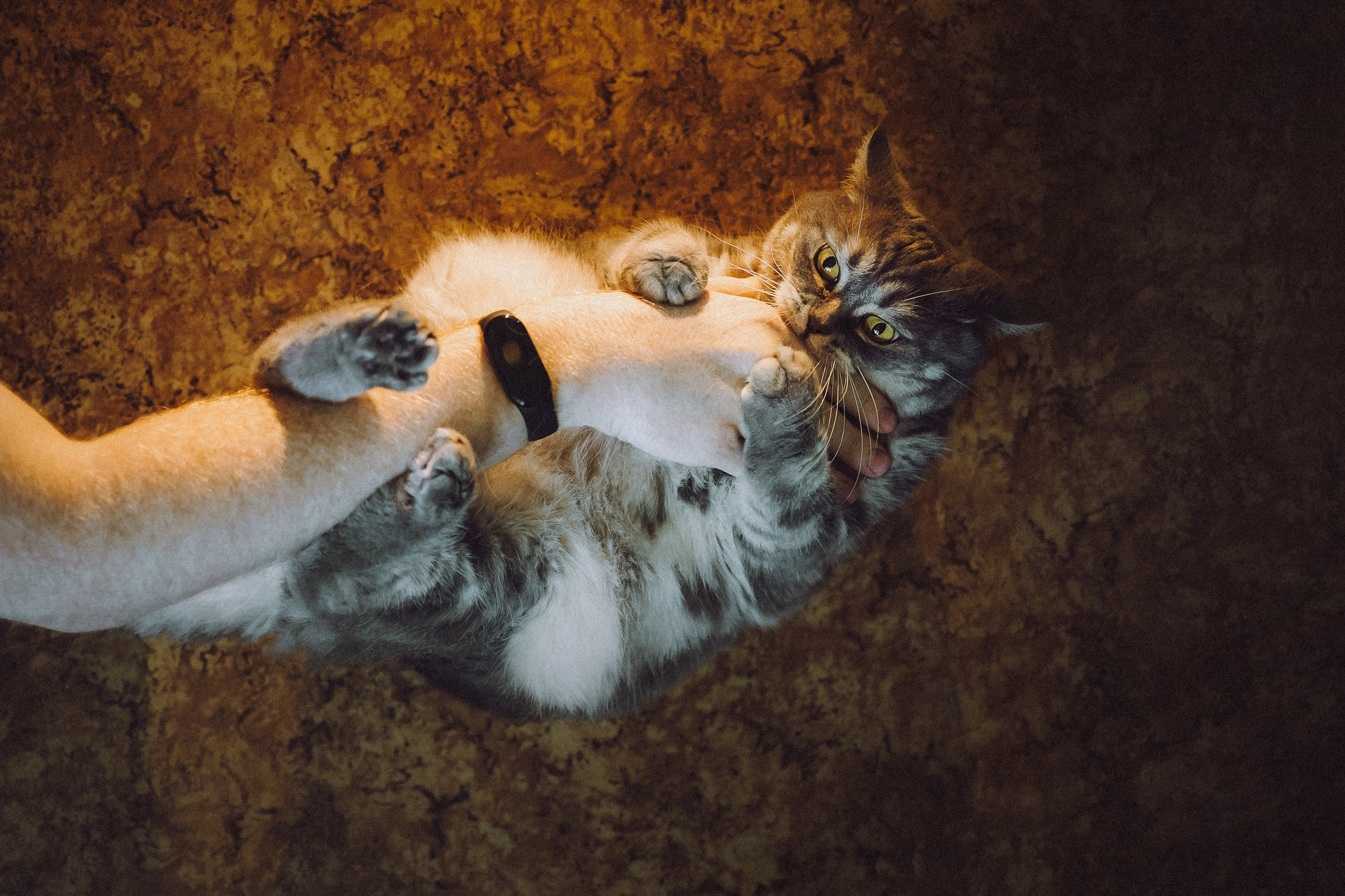 Яся и ее семья