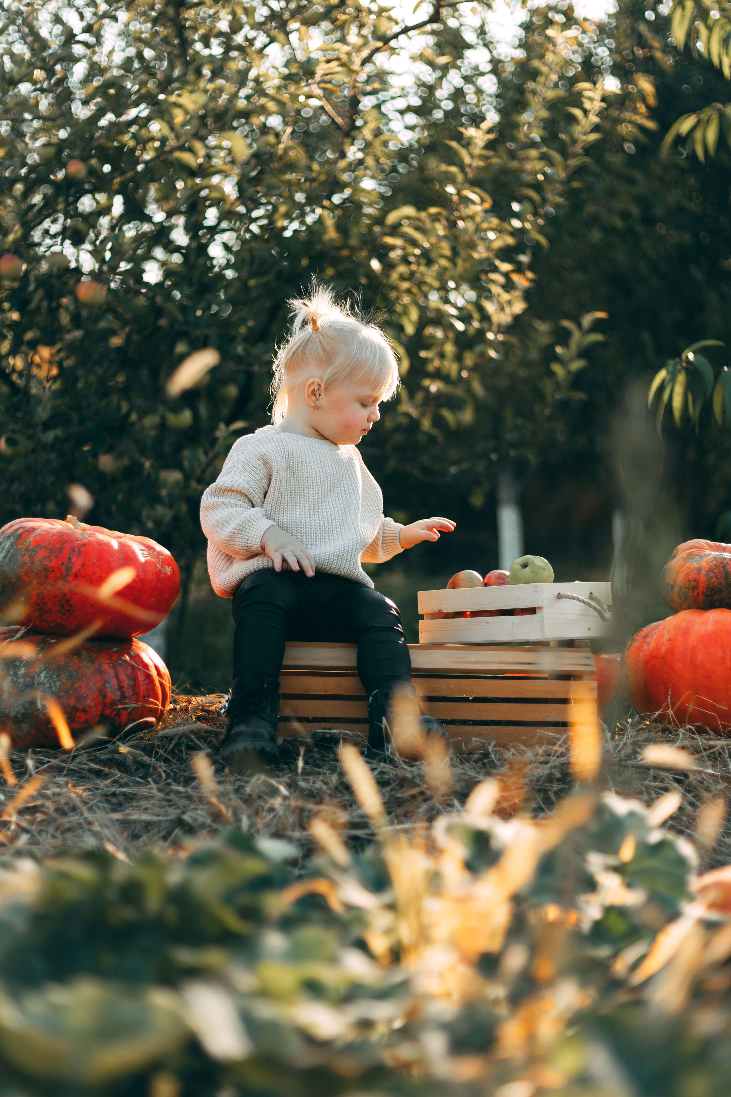 Детская фотосессия в тыквах. Свадебный и семейный фотограф в Краснодарском крае Мария Данилкина