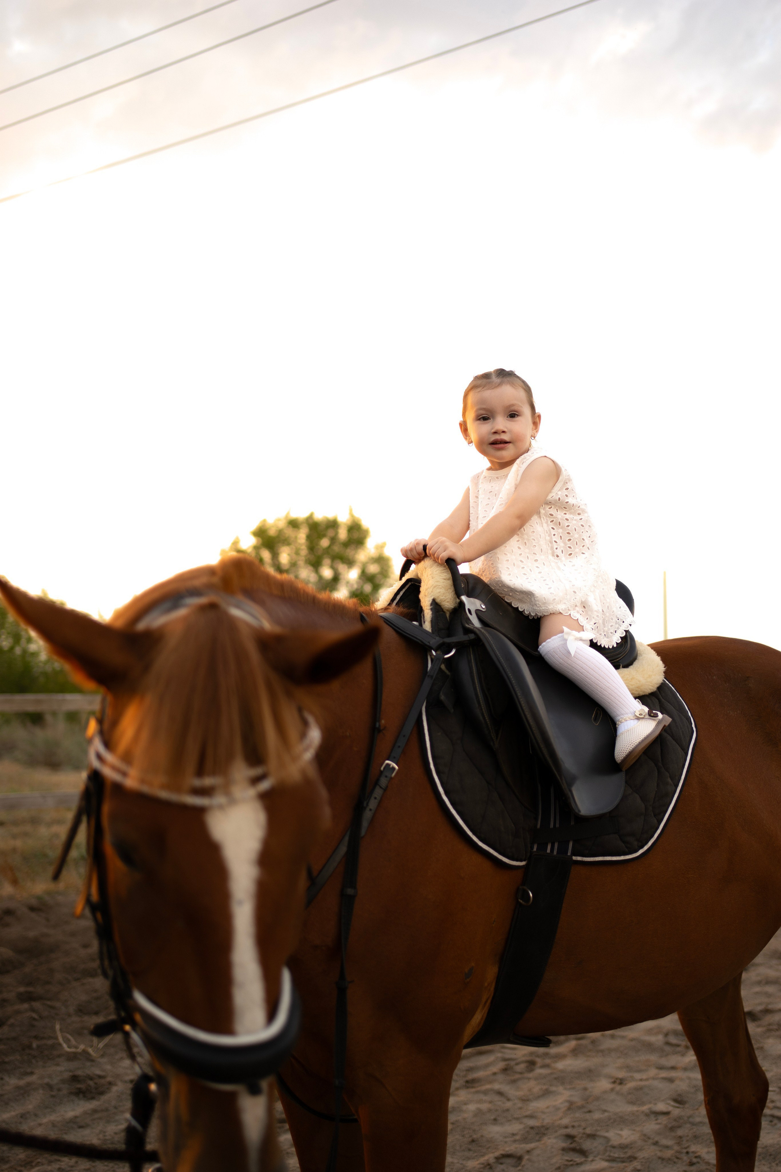 Семейная. Фотограф Новошахтинск|Ростов, Дарья Секрий