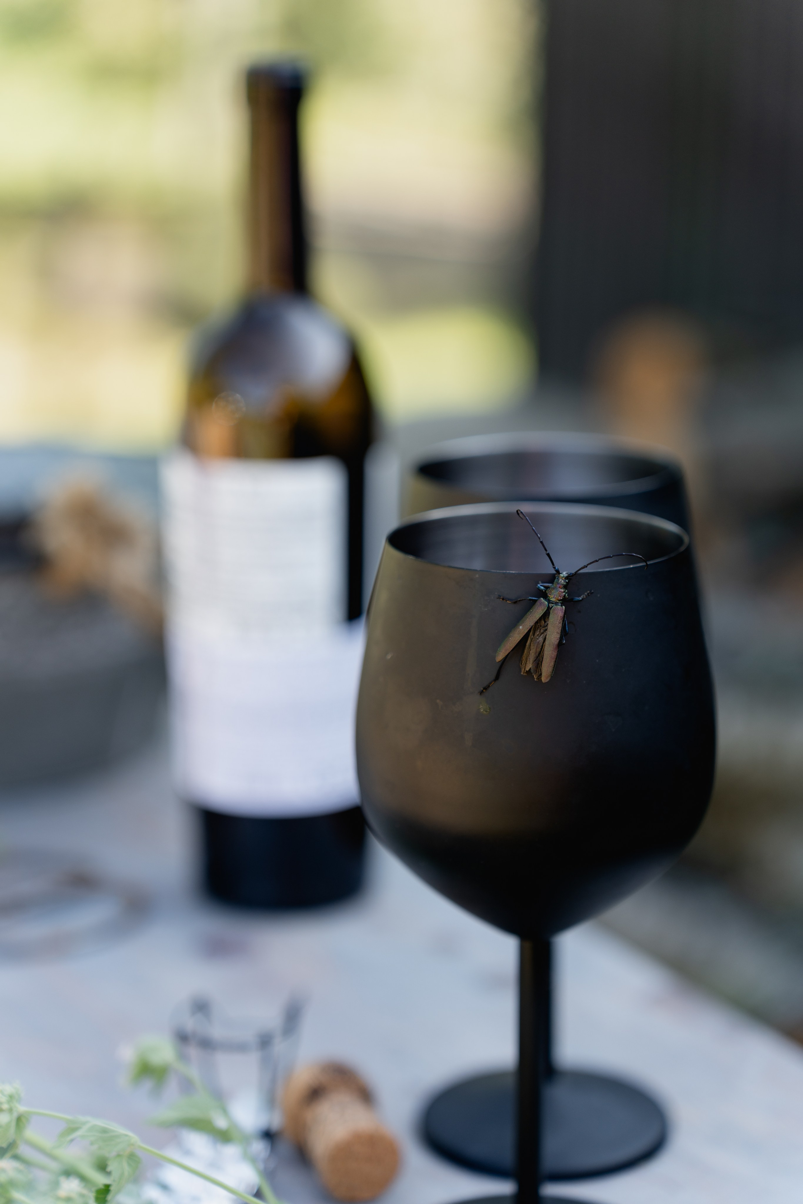 Сельский шик. Виктория Саханкова — портретный и семейный фотограф в Москве