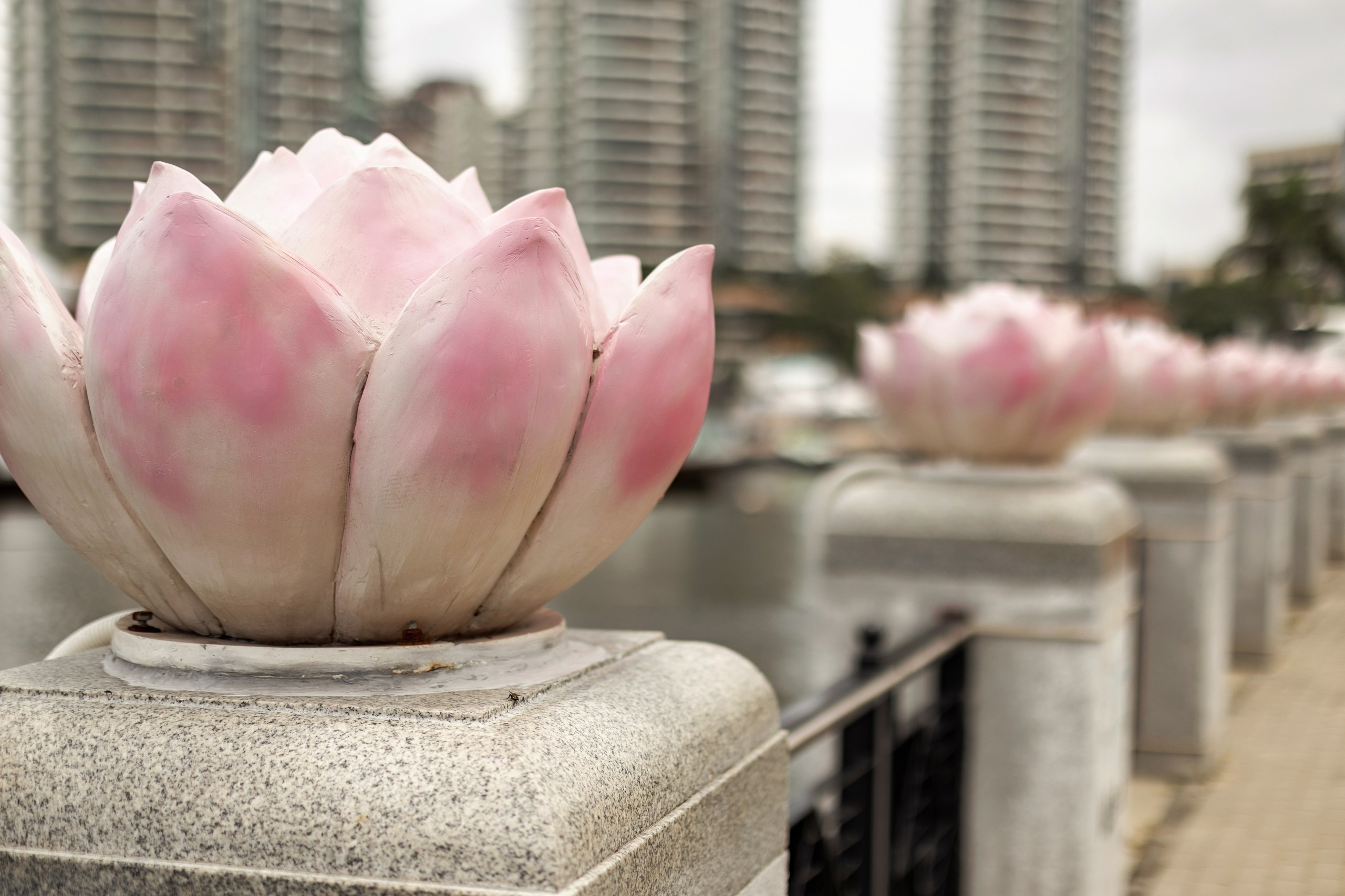 Свадебное путешествие на о.Хайнань (Китай). Свадебный и портретный фотограф в Санкт-Петербурге Надежда Чечулина