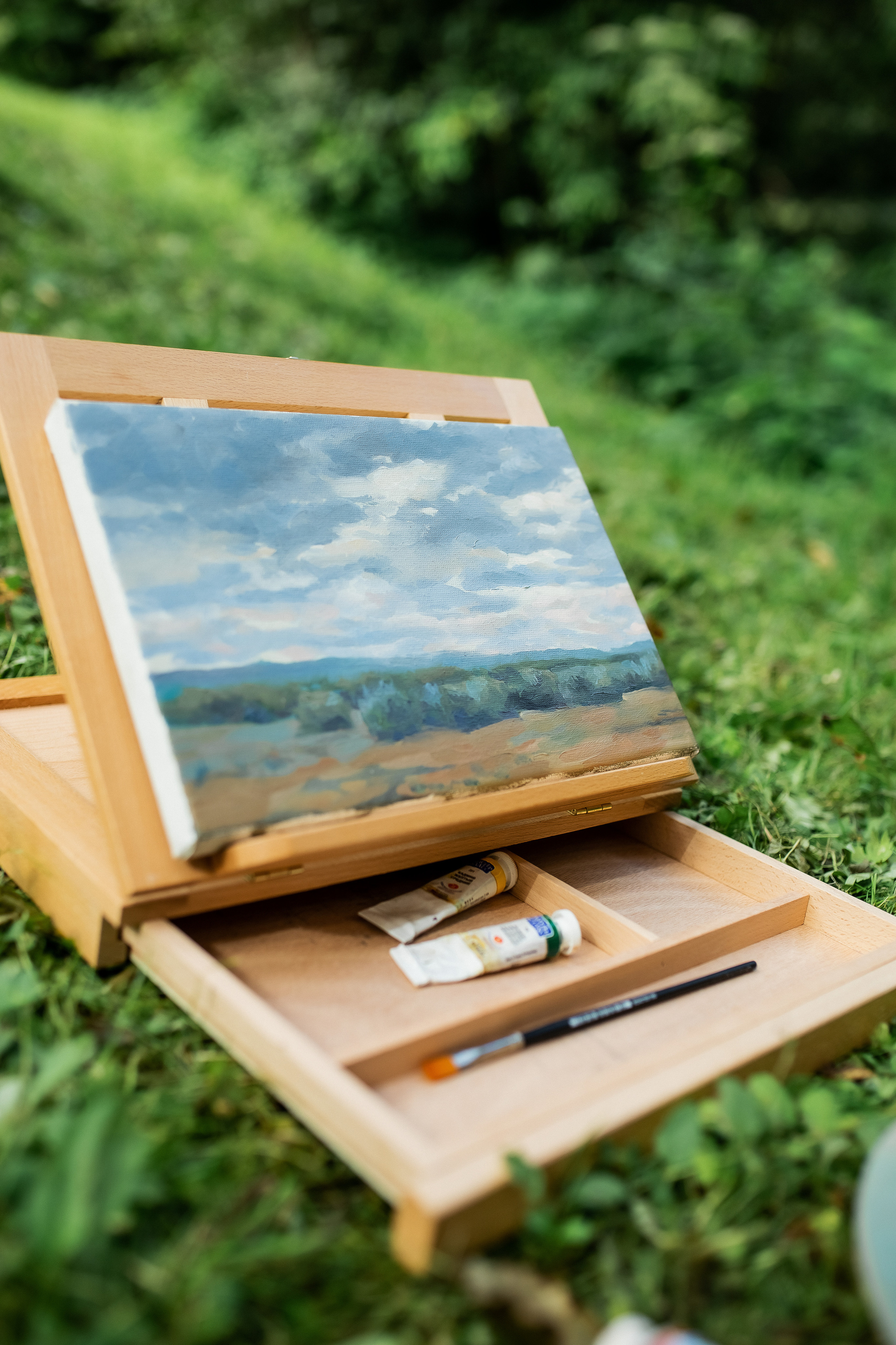 Юля. Природа, пейзаж, краски и прогулка. Профессиональный фотограф, Москва |Видное Елена Елизарова