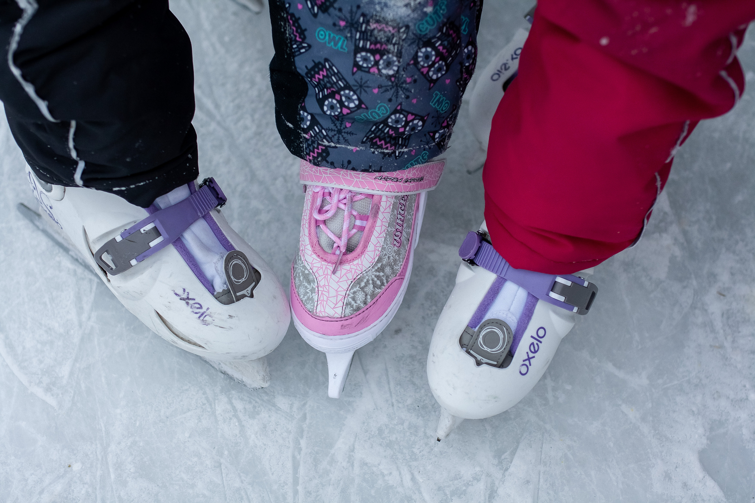 Каток. Веселое катание. Профессиональный фотограф, Москва |Видное Елена Елизарова