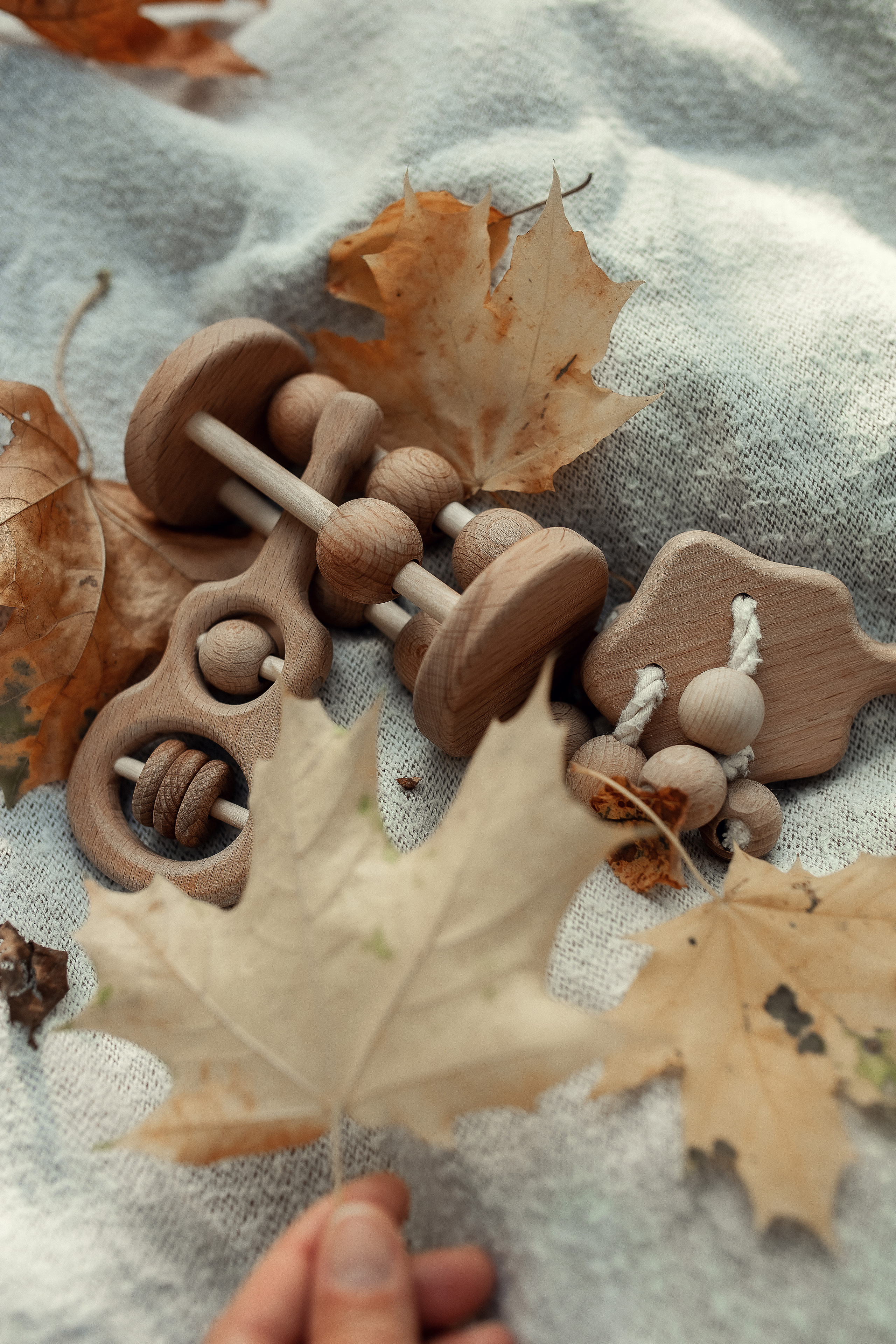 Кристина и Ярослав. Коломенское. Профессиональный фотограф, Москва |Видное Елена Елизарова