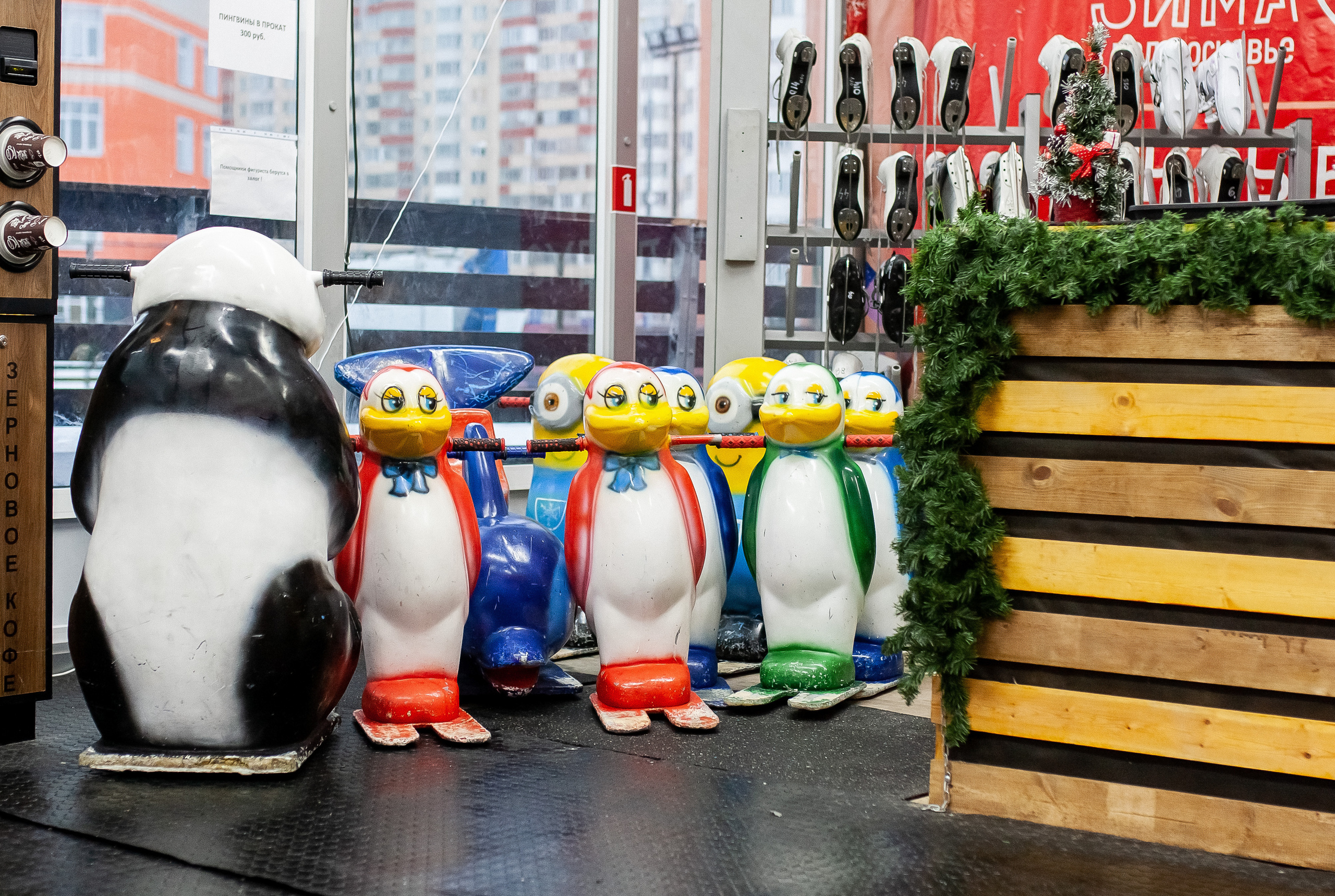 Каток. Веселое катание. Профессиональный фотограф, Москва |Видное Елена Елизарова