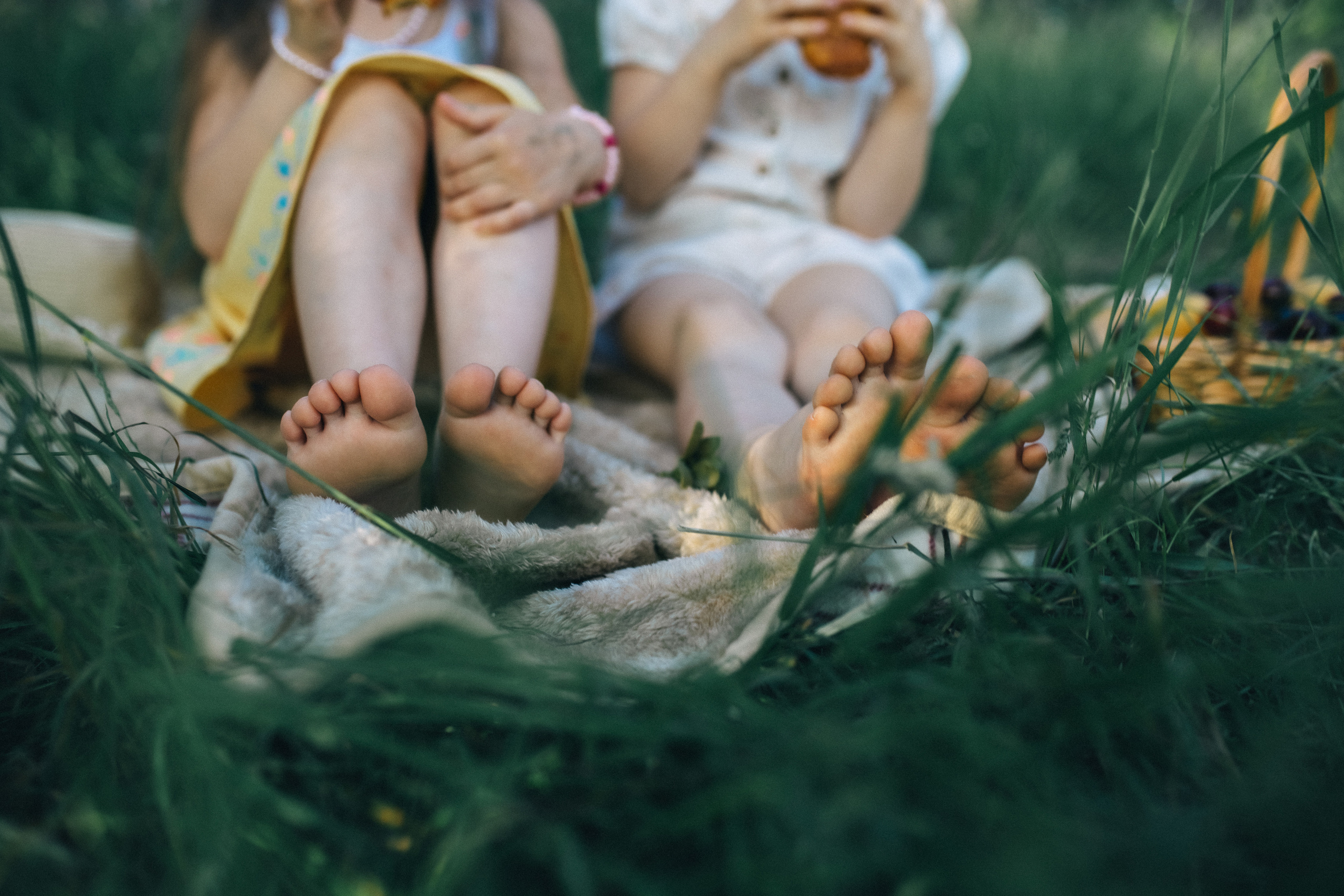 Лия и Полина. Пикник. Профессиональный фотограф, Москва |Видное Елена Елизарова