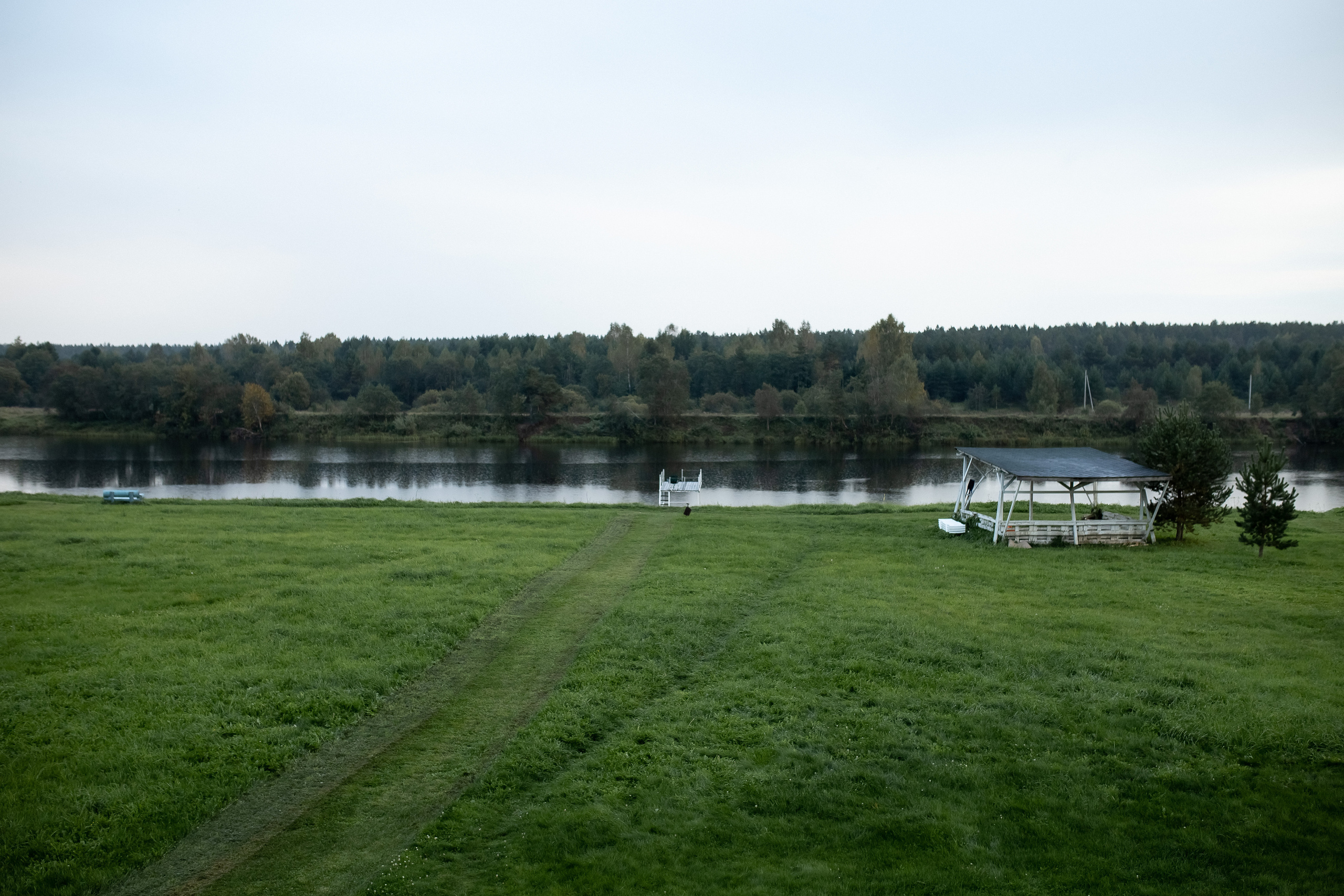 Йога дача. Выезд на природу. Профессиональный фотограф, Москва |Видное Елена Елизарова