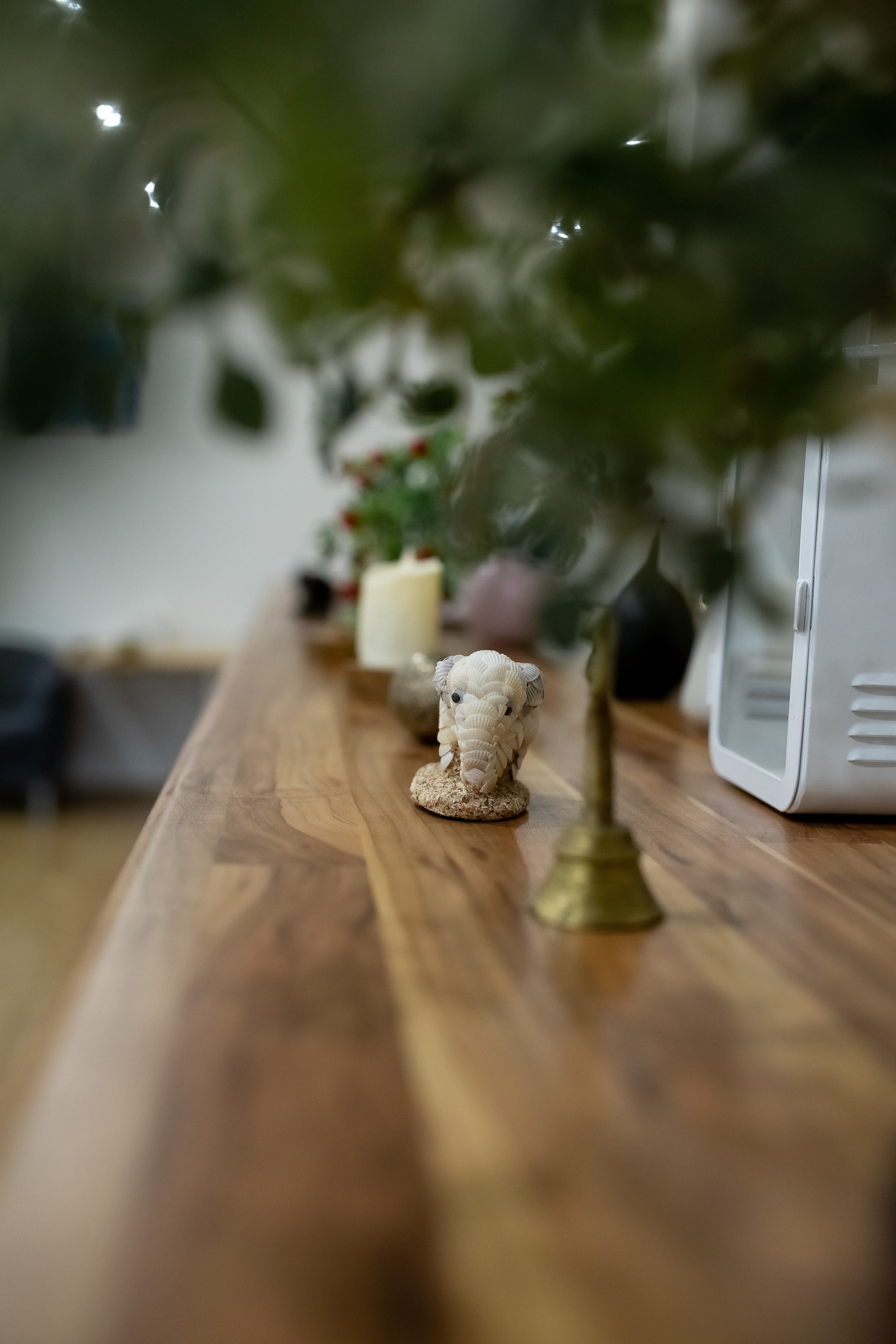 Йога дача. Выезд на природу. Профессиональный фотограф, Москва |Видное Елена Елизарова