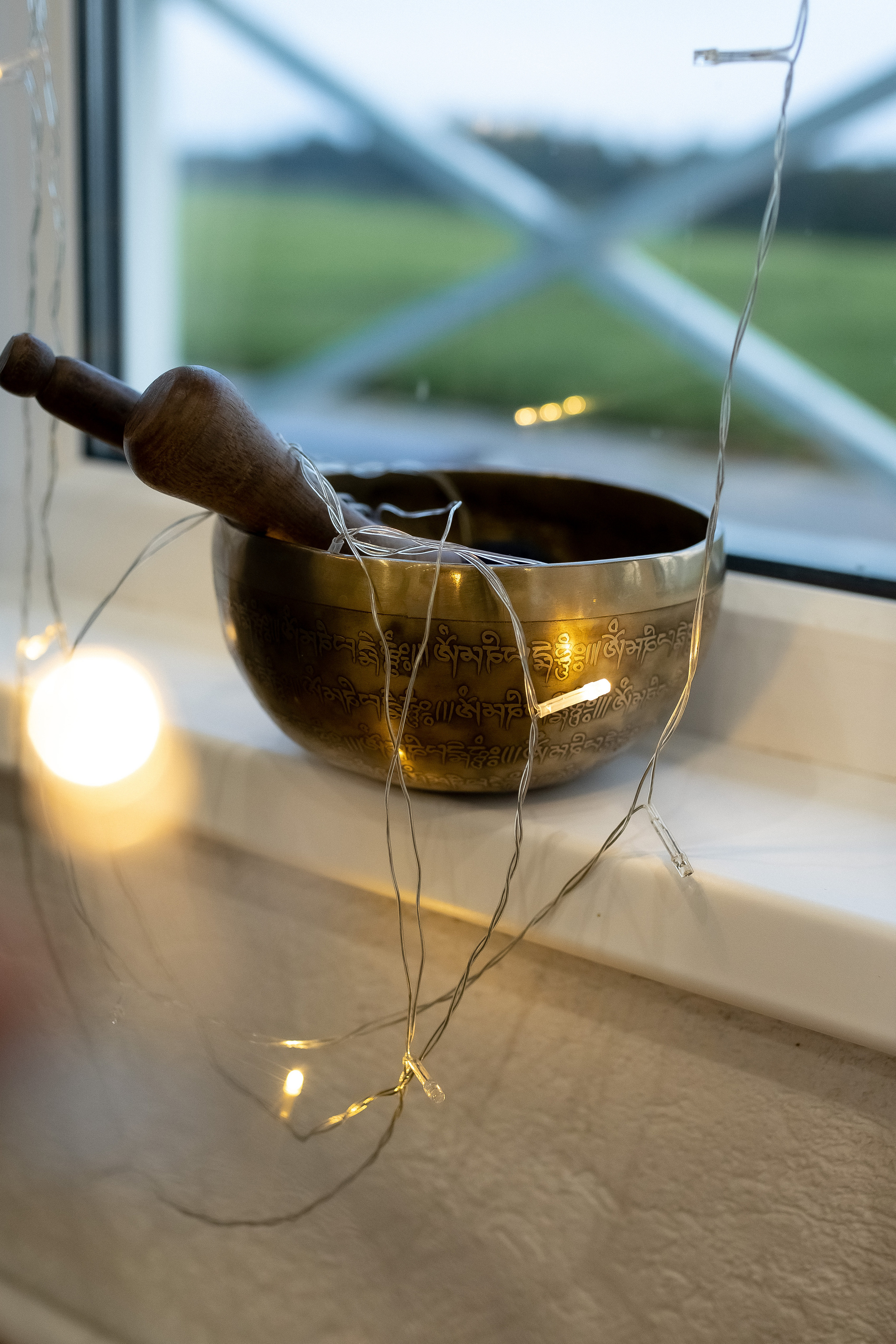 Йога дача. Выезд на природу. Профессиональный фотограф, Москва |Видное Елена Елизарова