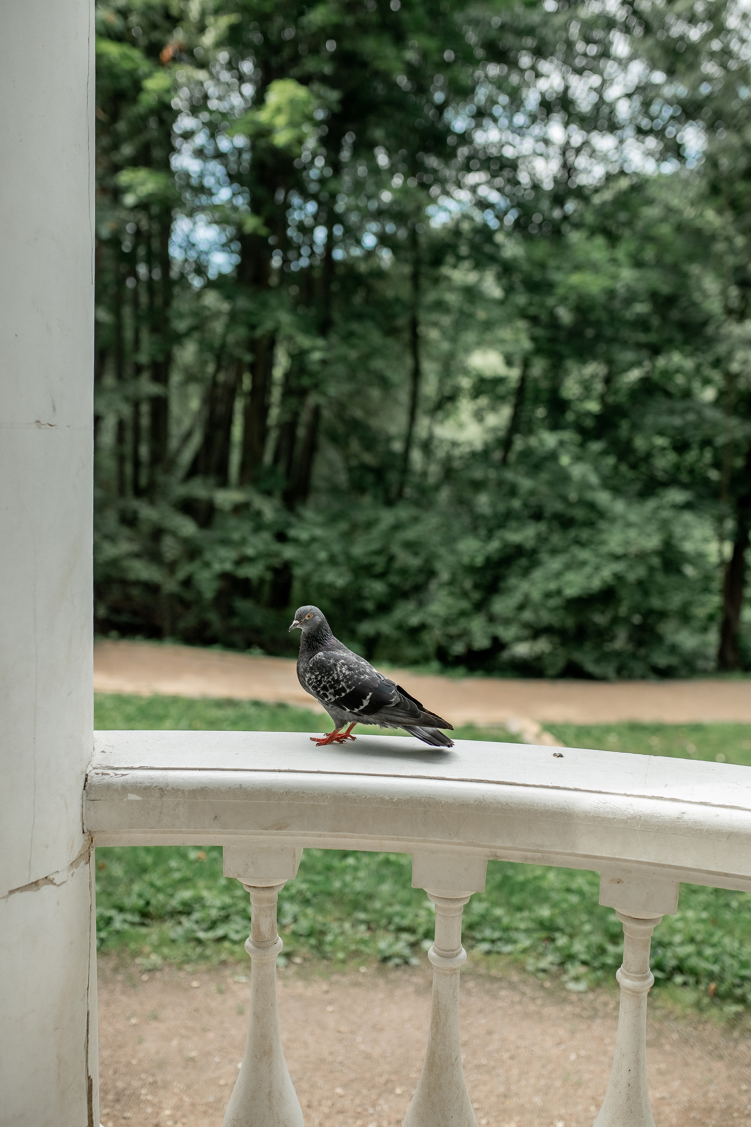 Юля. Природа, пейзаж, краски и прогулка. Профессиональный фотограф, Москва |Видное Елена Елизарова
