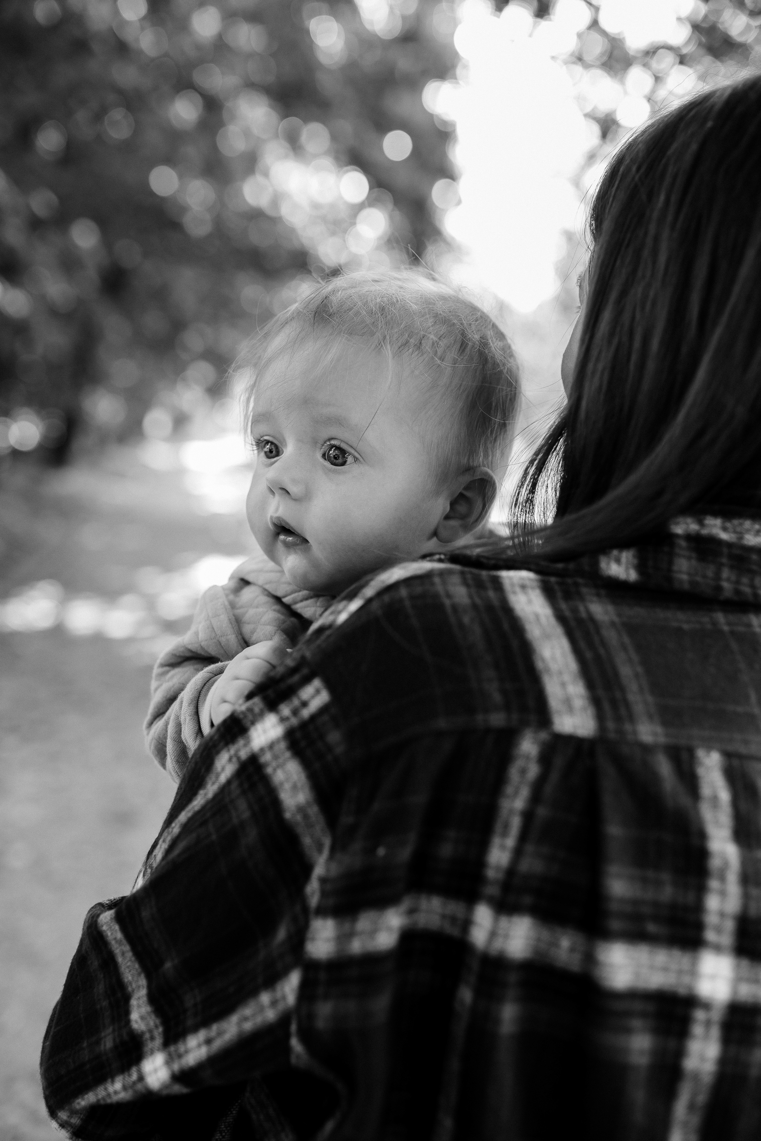 Кристина и Ярослав. Коломенское. Профессиональный фотограф, Москва |Видное Елена Елизарова