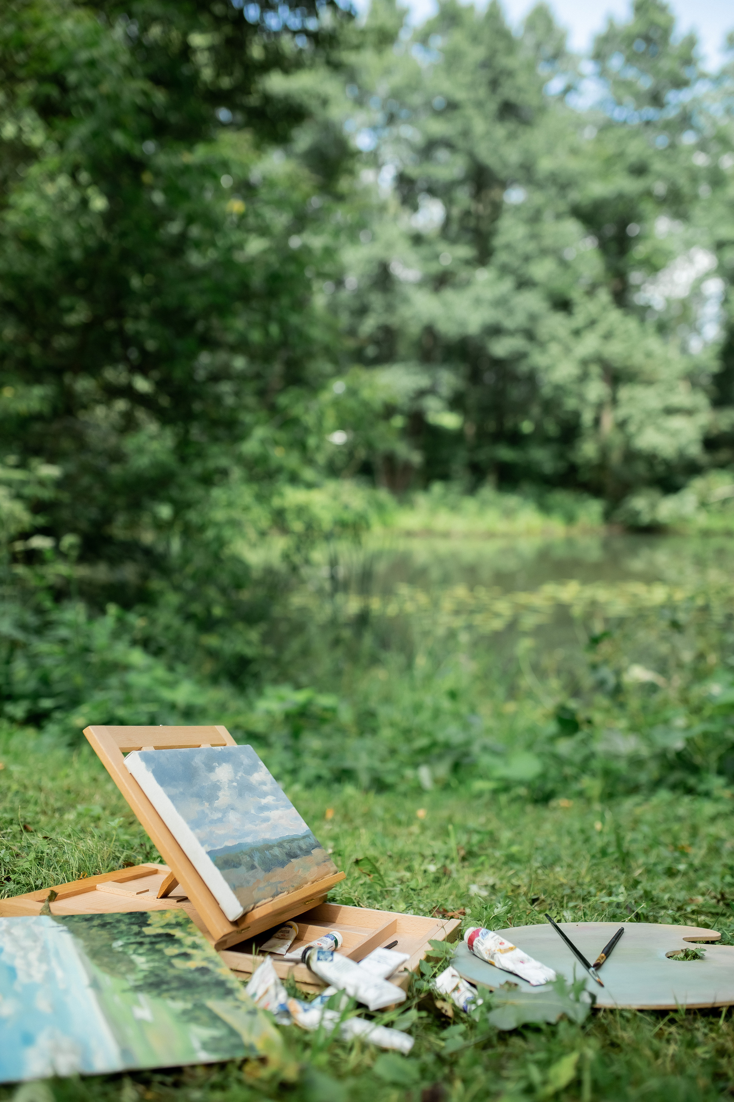 Юля. Природа, пейзаж, краски и прогулка. Профессиональный фотограф, Москва |Видное Елена Елизарова