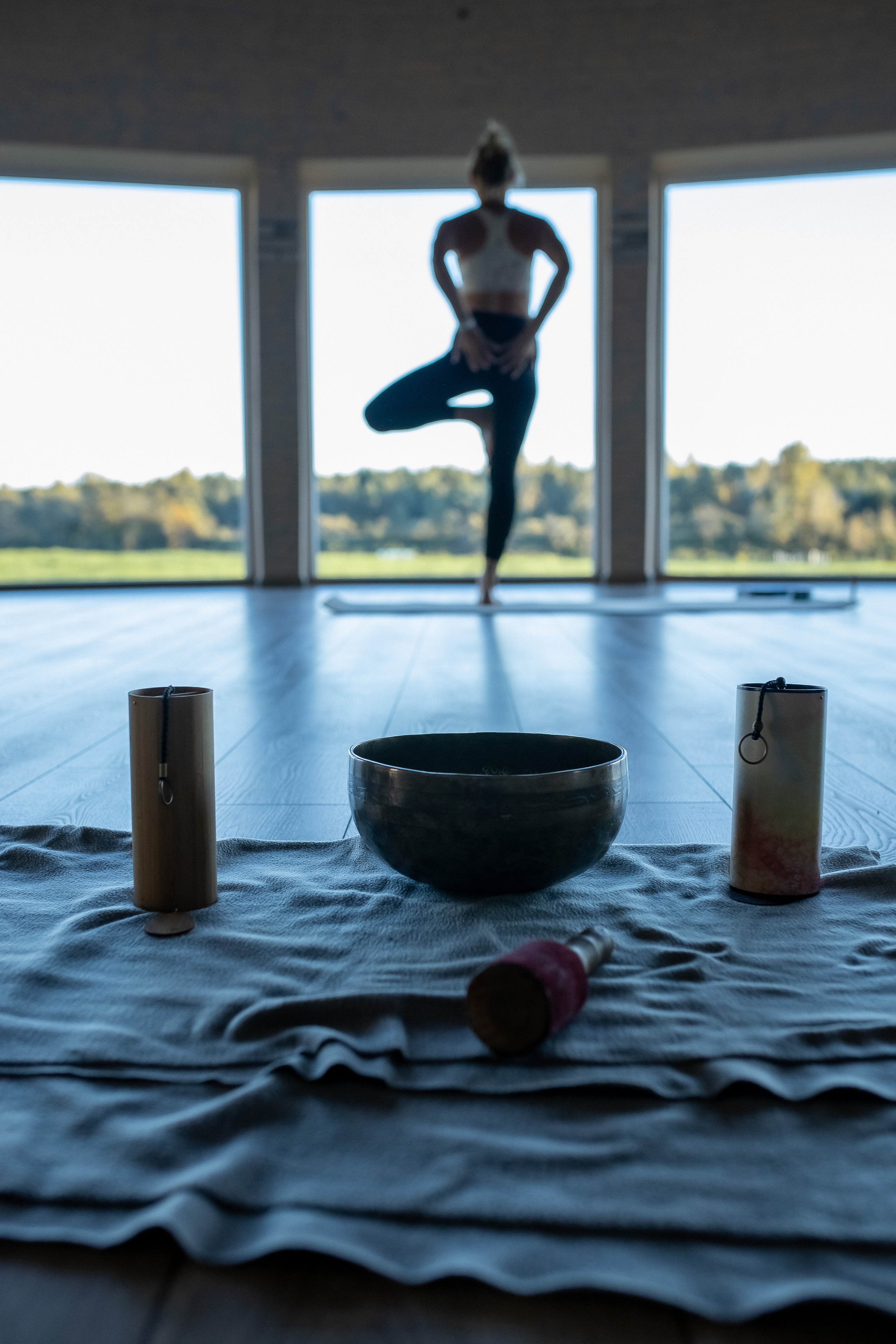 Йога дача. Выезд на природу. Профессиональный фотограф, Москва |Видное Елена Елизарова