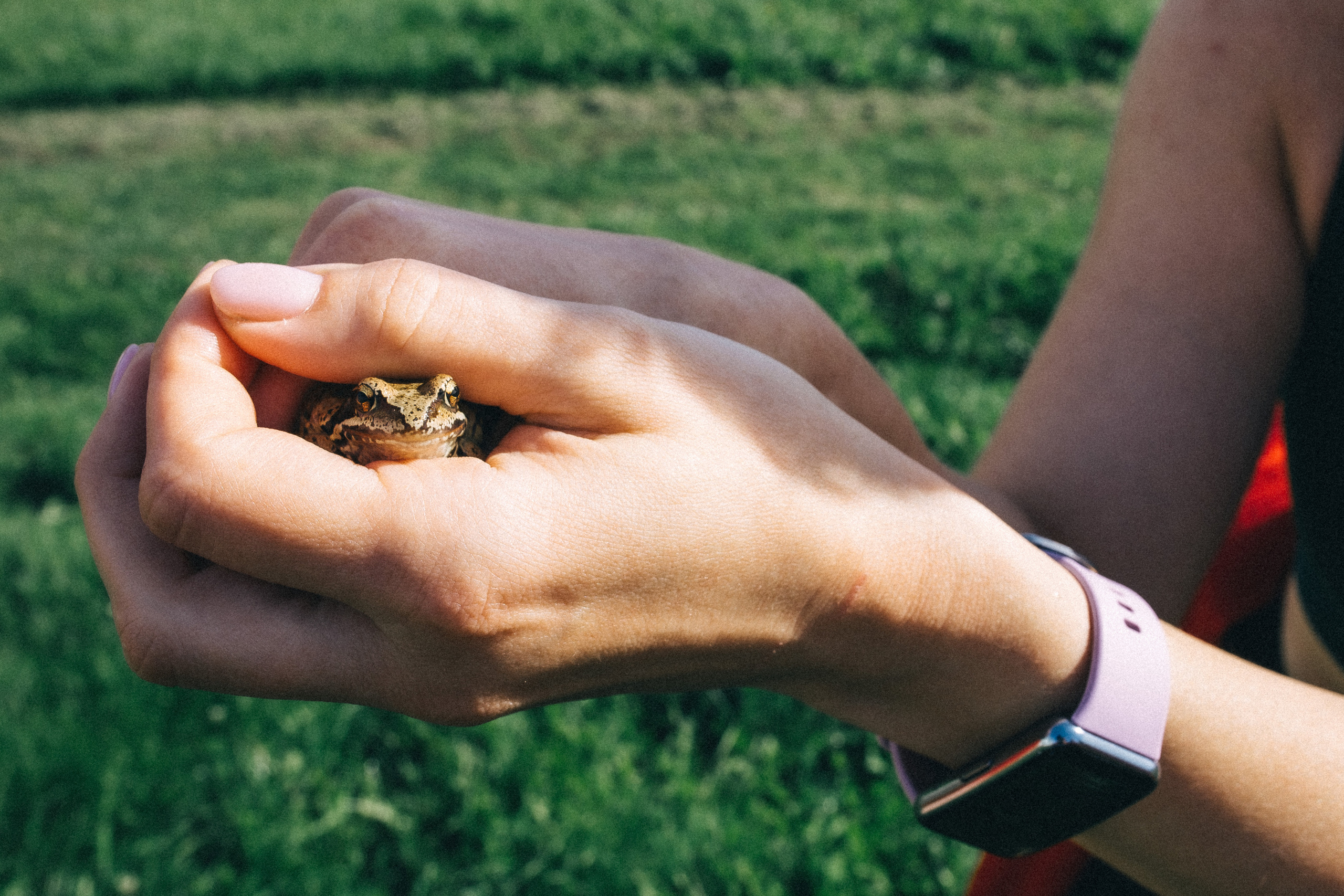 Йога дача. Идея постановочная, а эмоции неподдельные!. Профессиональный фотограф, Москва |Видное Елена Елизарова