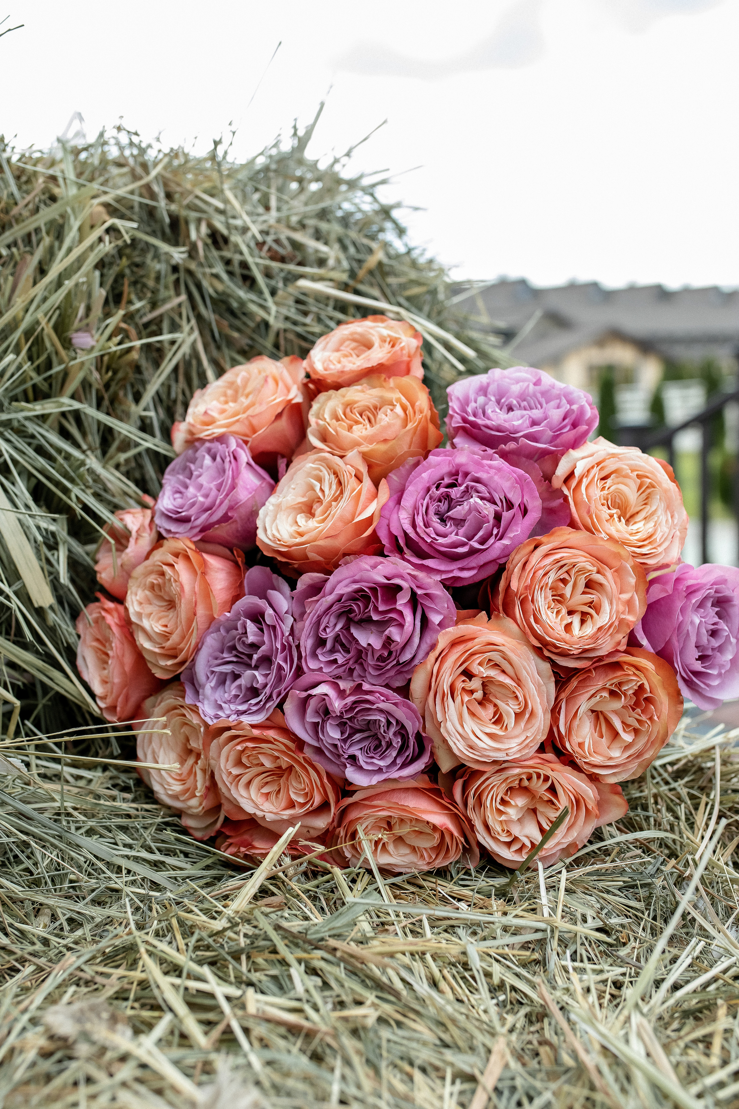 Тамара. Именинница. Профессиональный фотограф, Москва |Видное Елена Елизарова