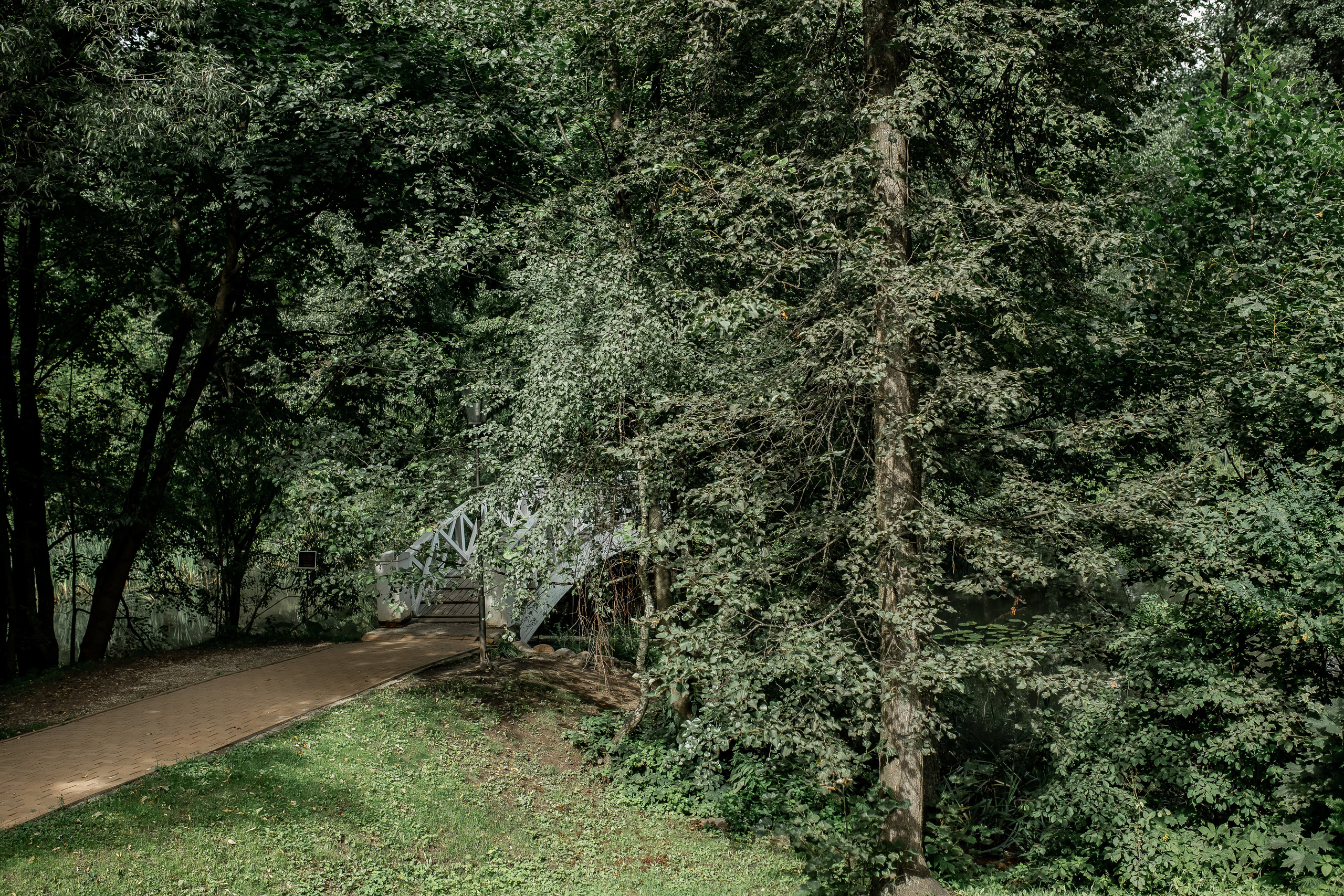Юля. Природа, пейзаж, краски и прогулка. Профессиональный фотограф, Москва |Видное Елена Елизарова
