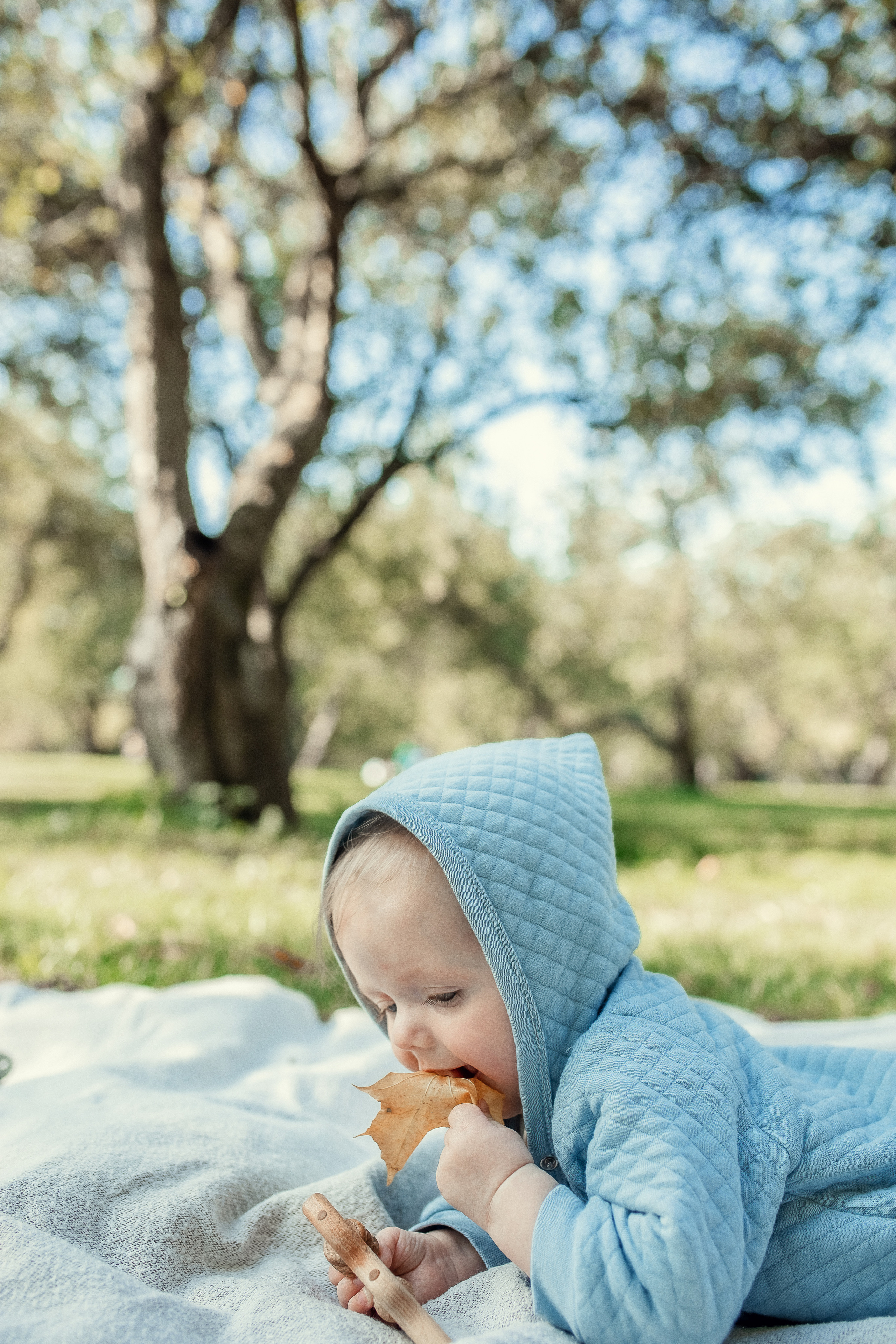 Кристина и Ярослав. Коломенское. Профессиональный фотограф, Москва |Видное Елена Елизарова
