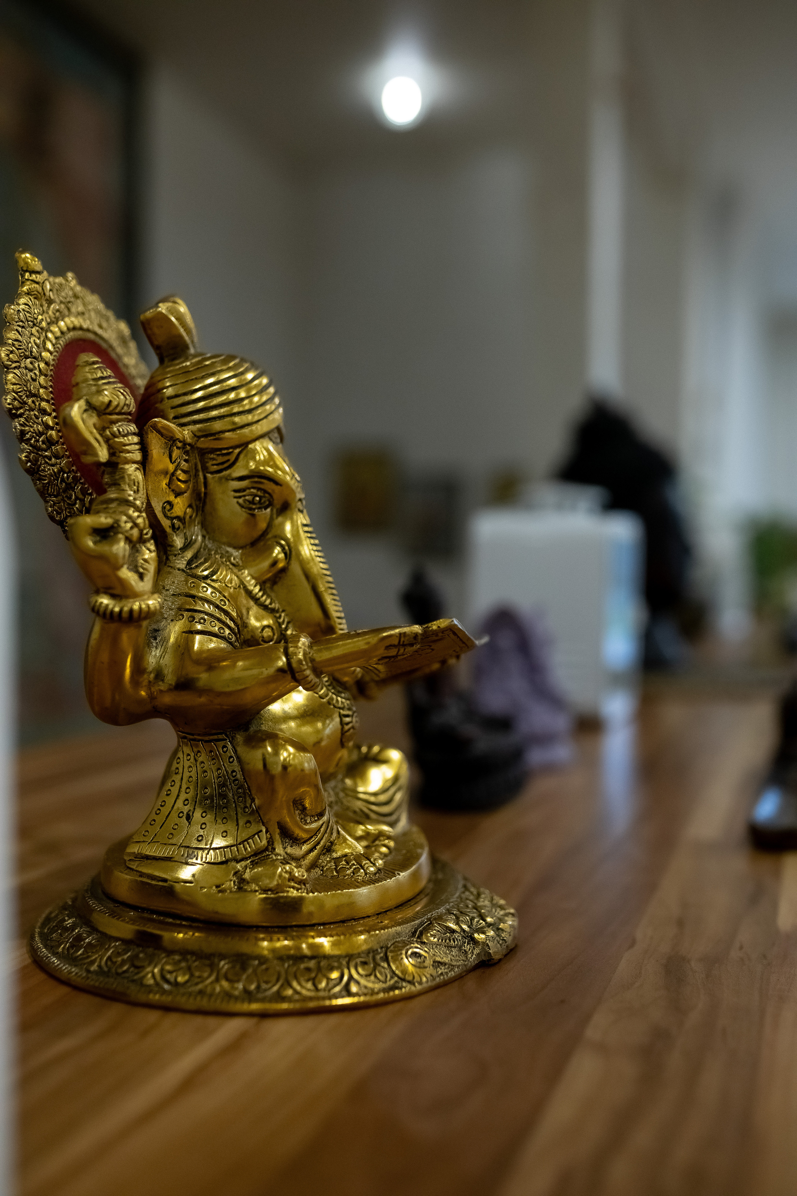 Йога дача. Выезд на природу. Профессиональный фотограф, Москва |Видное Елена Елизарова