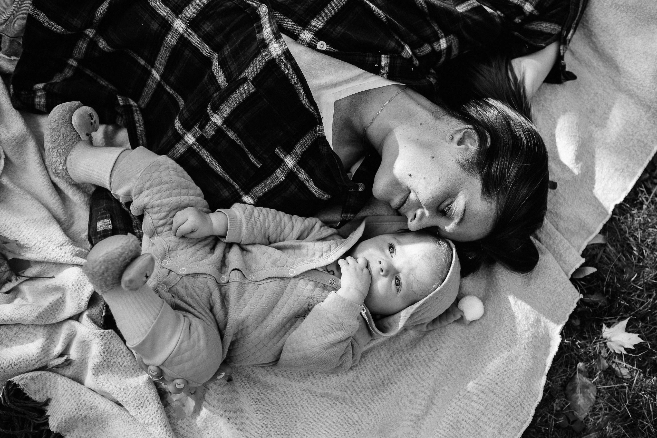 Кристина и Ярослав. Коломенское. Профессиональный фотограф, Москва |Видное Елена Елизарова