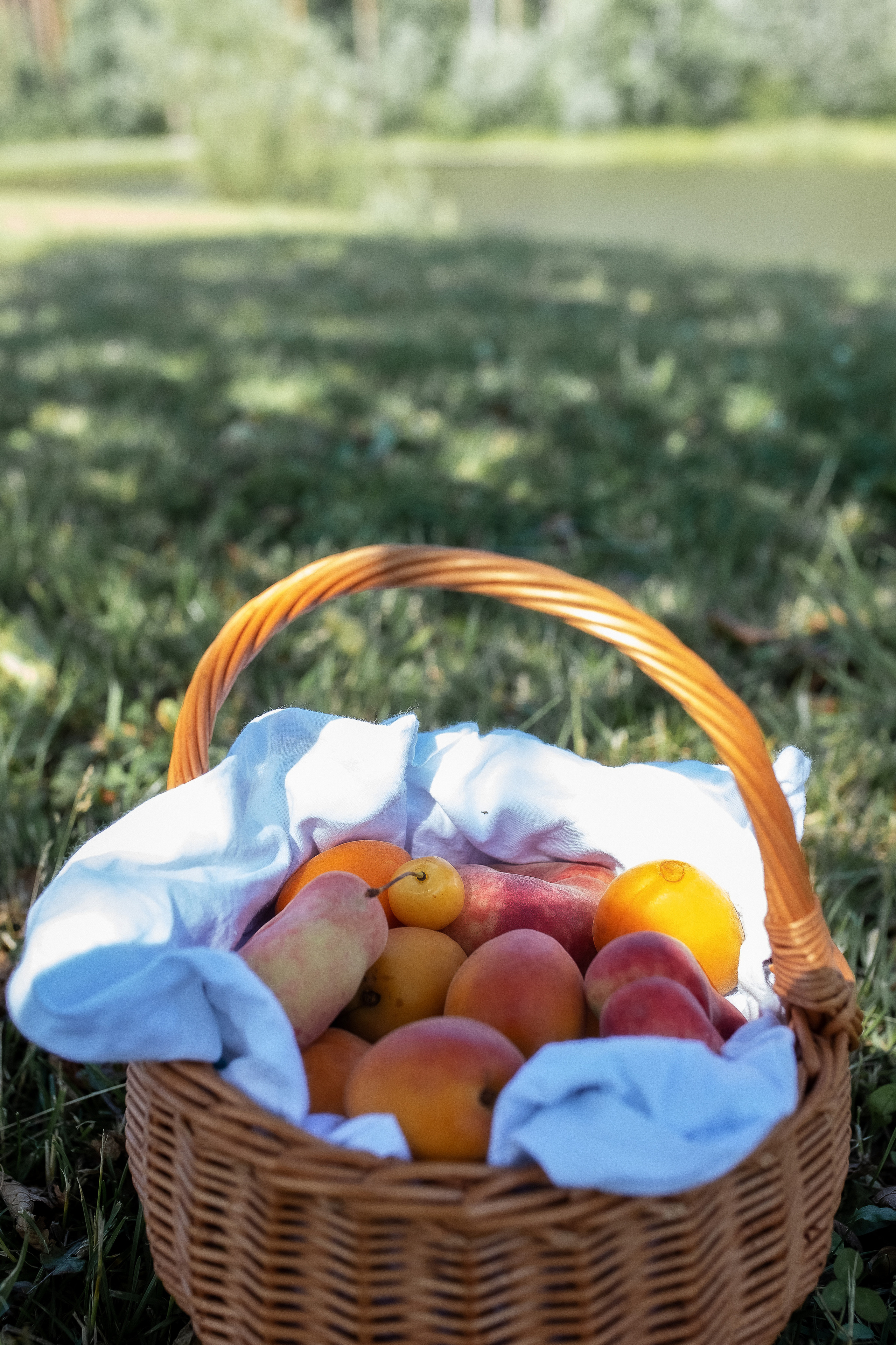 Надя и Алиса. Пикник. Лето. Профессиональный фотограф, Москва |Видное Елена Елизарова
