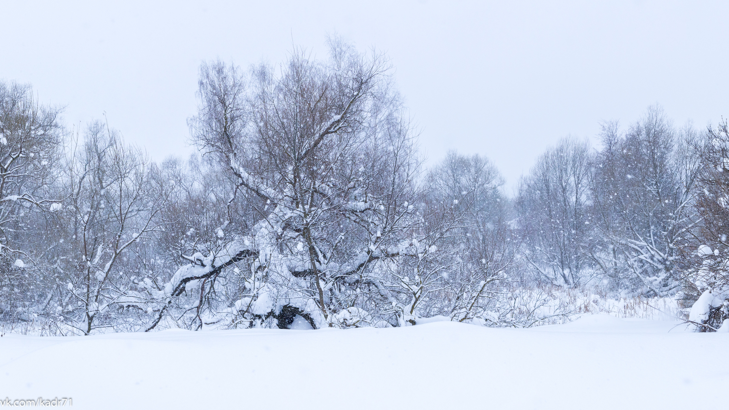 Тула-Новогодняя столица России 2019-2020. Фотограф в Туле Крупский АнДРей. Фотостудия «КАДР71» в Туле