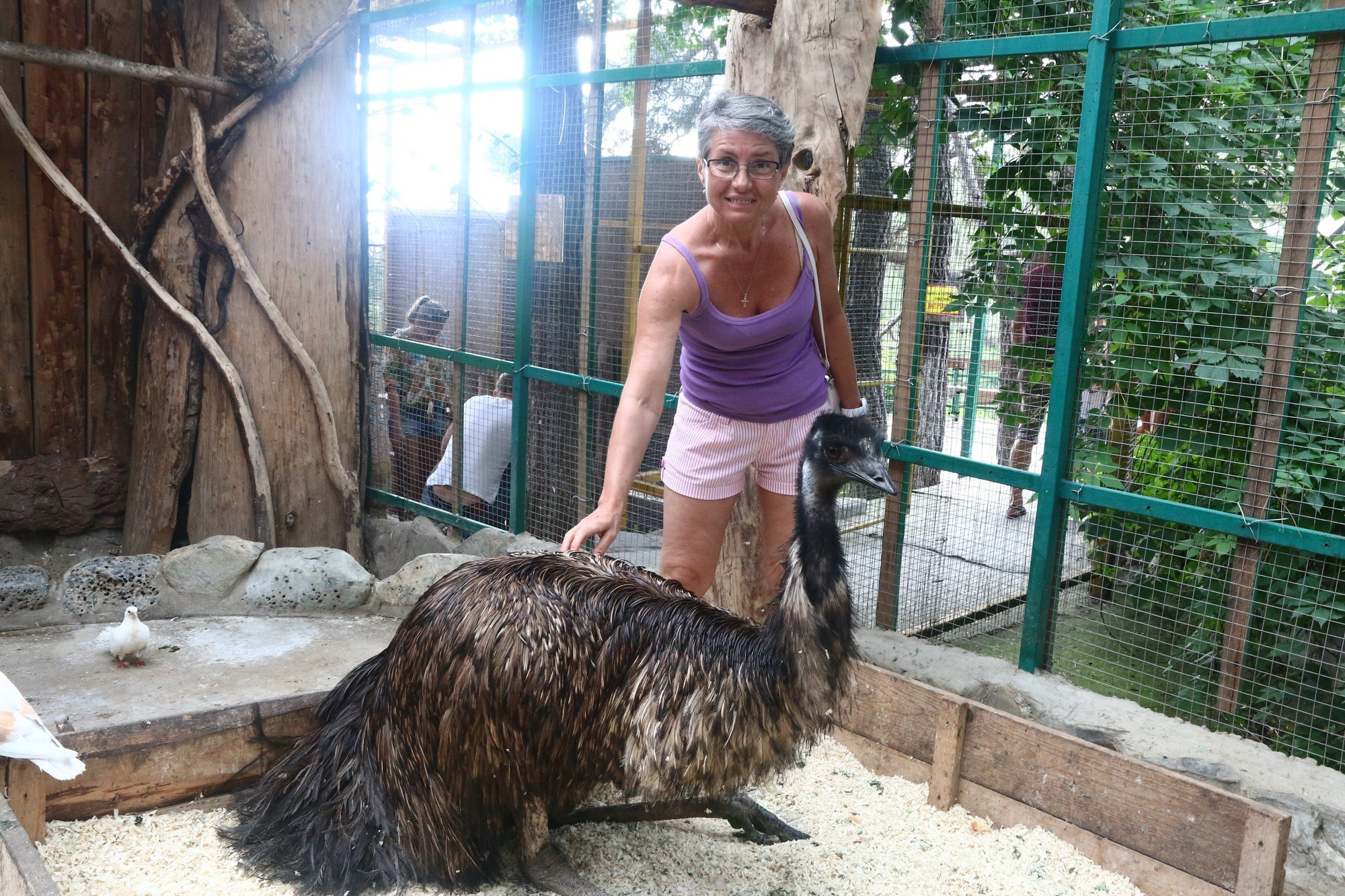 Геленджик 2016 г. Улица, люди, жизнь…