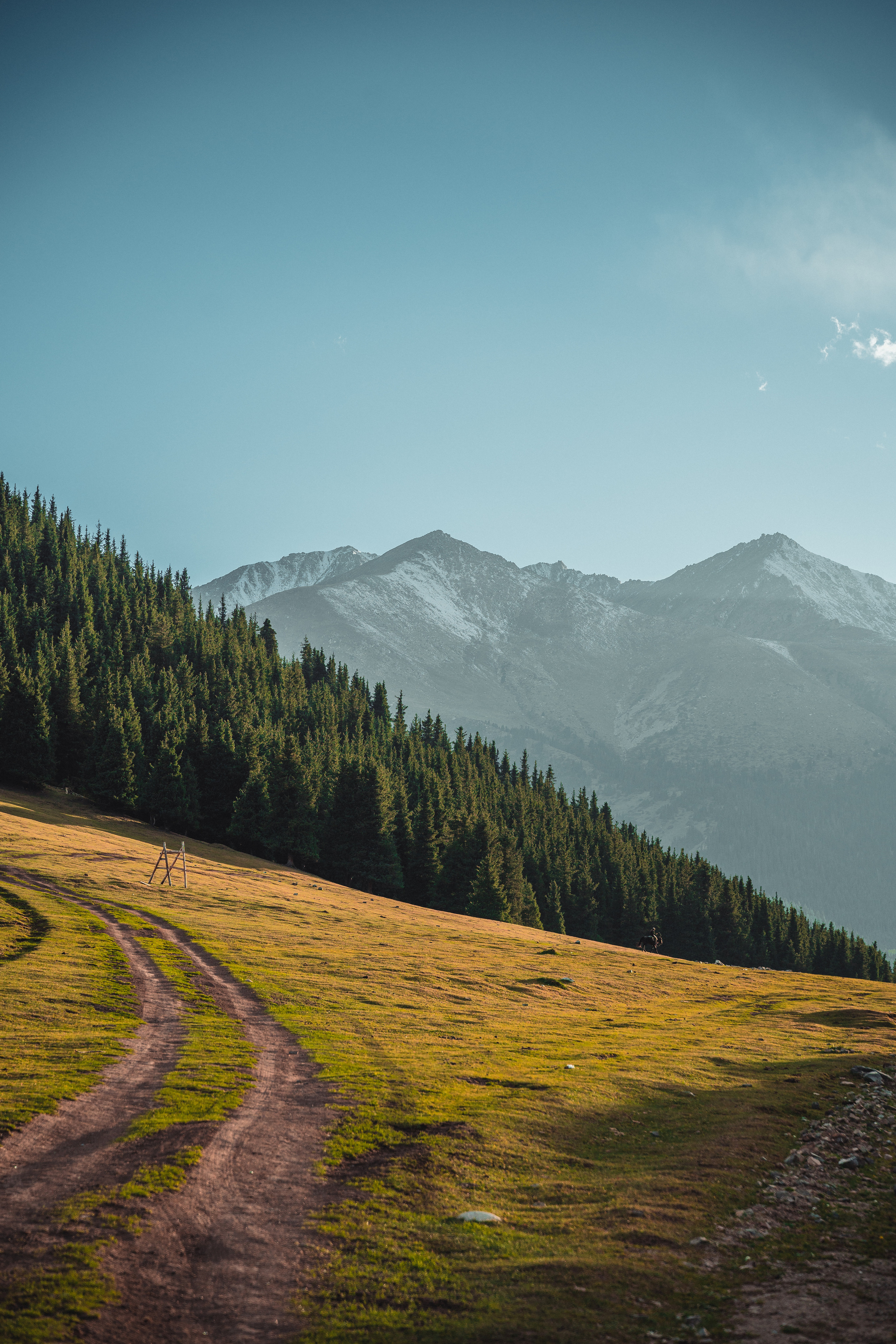 Nature. Спортивный и не только фотограф в Санкт-Петербурге- Артём Золотарёв