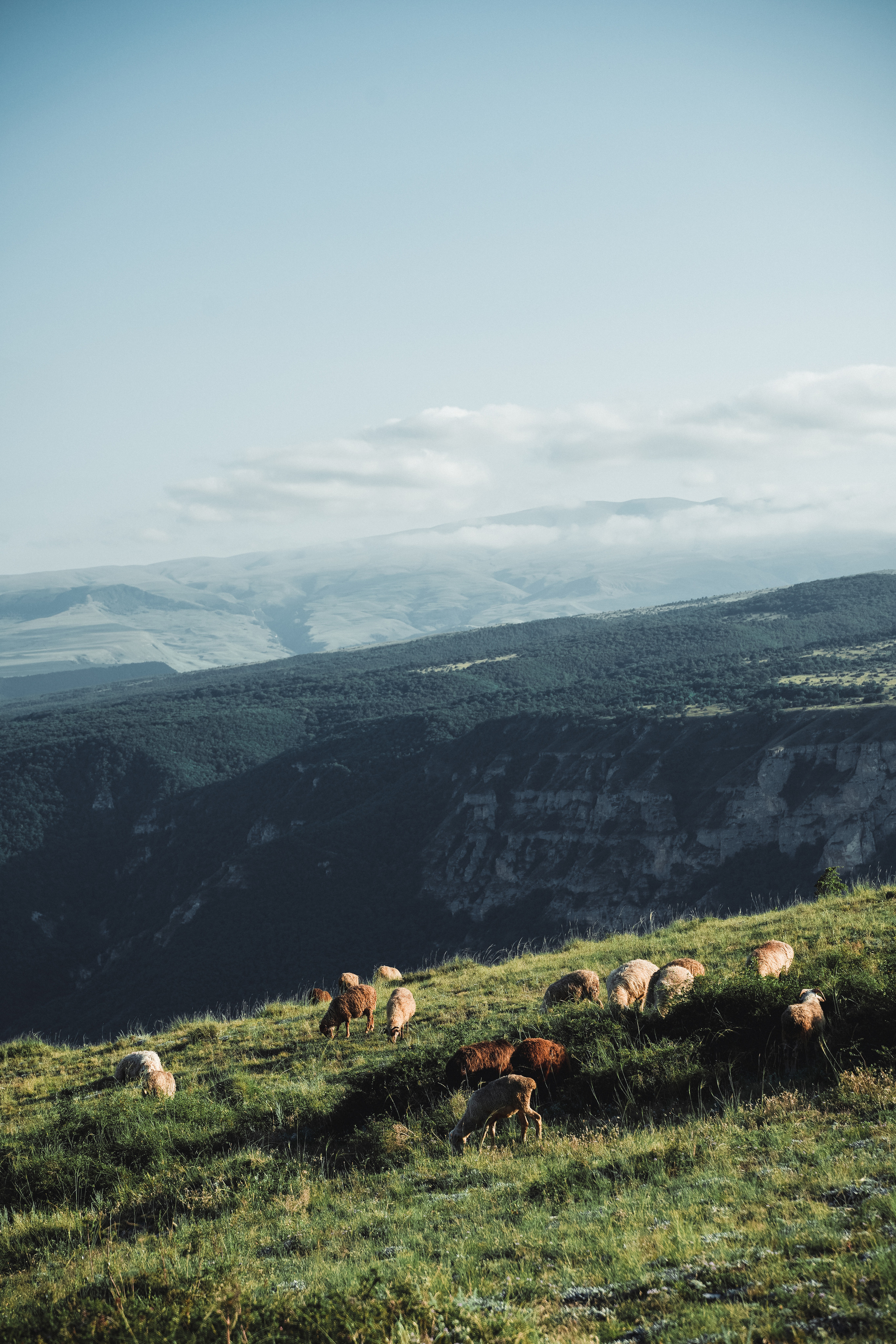 Nature. Спортивный и не только фотограф в Санкт-Петербурге- Артём Золотарёв