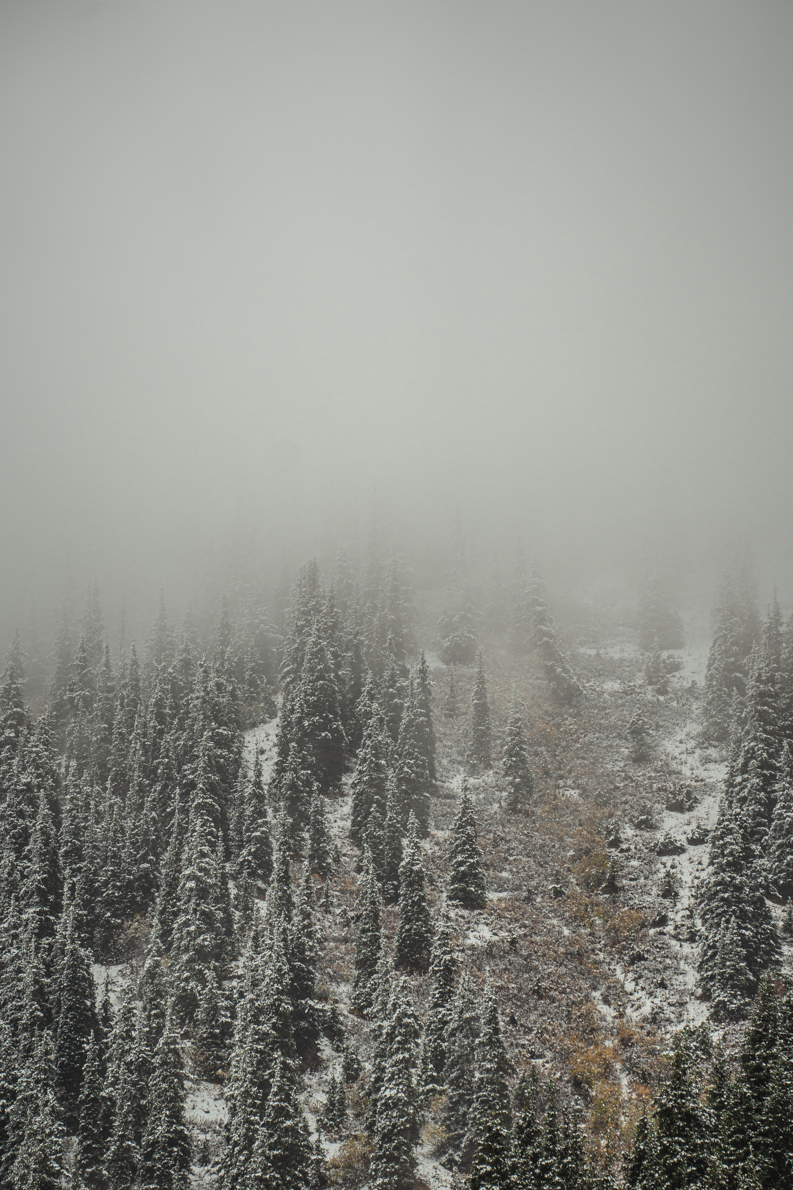 Nature. Спортивный и не только фотограф в Санкт-Петербурге- Артём Золотарёв