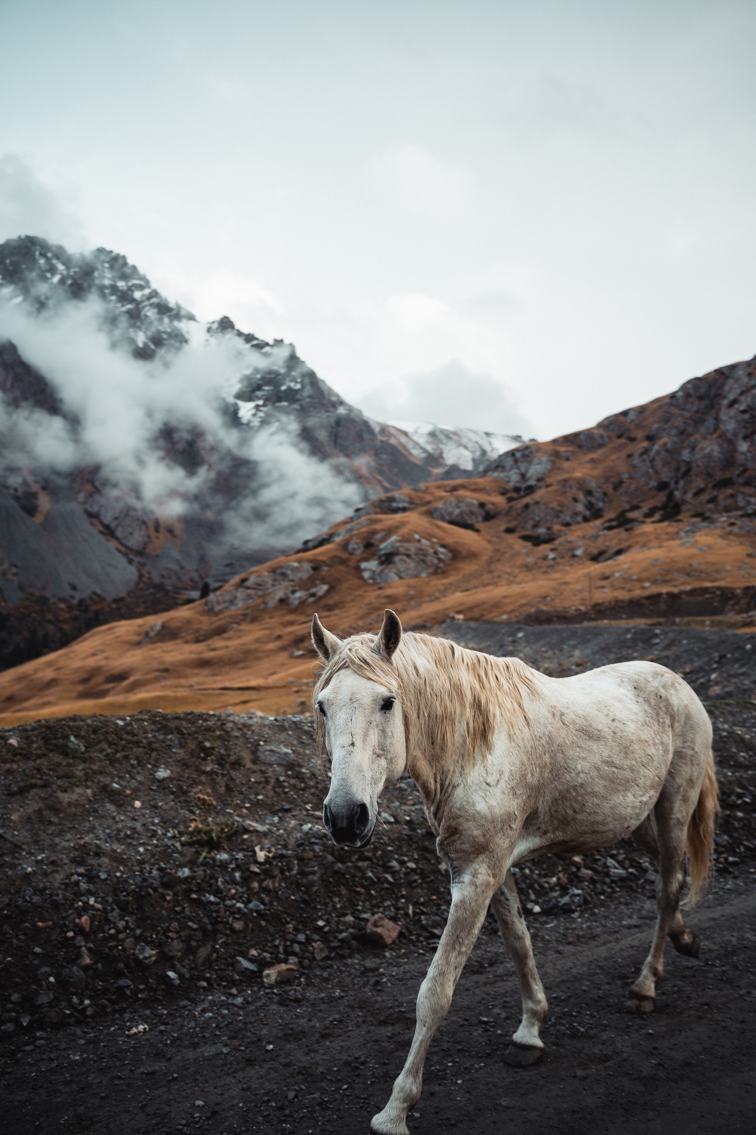 Nature. Спортивный и не только фотограф в Санкт-Петербурге- Артём Золотарёв