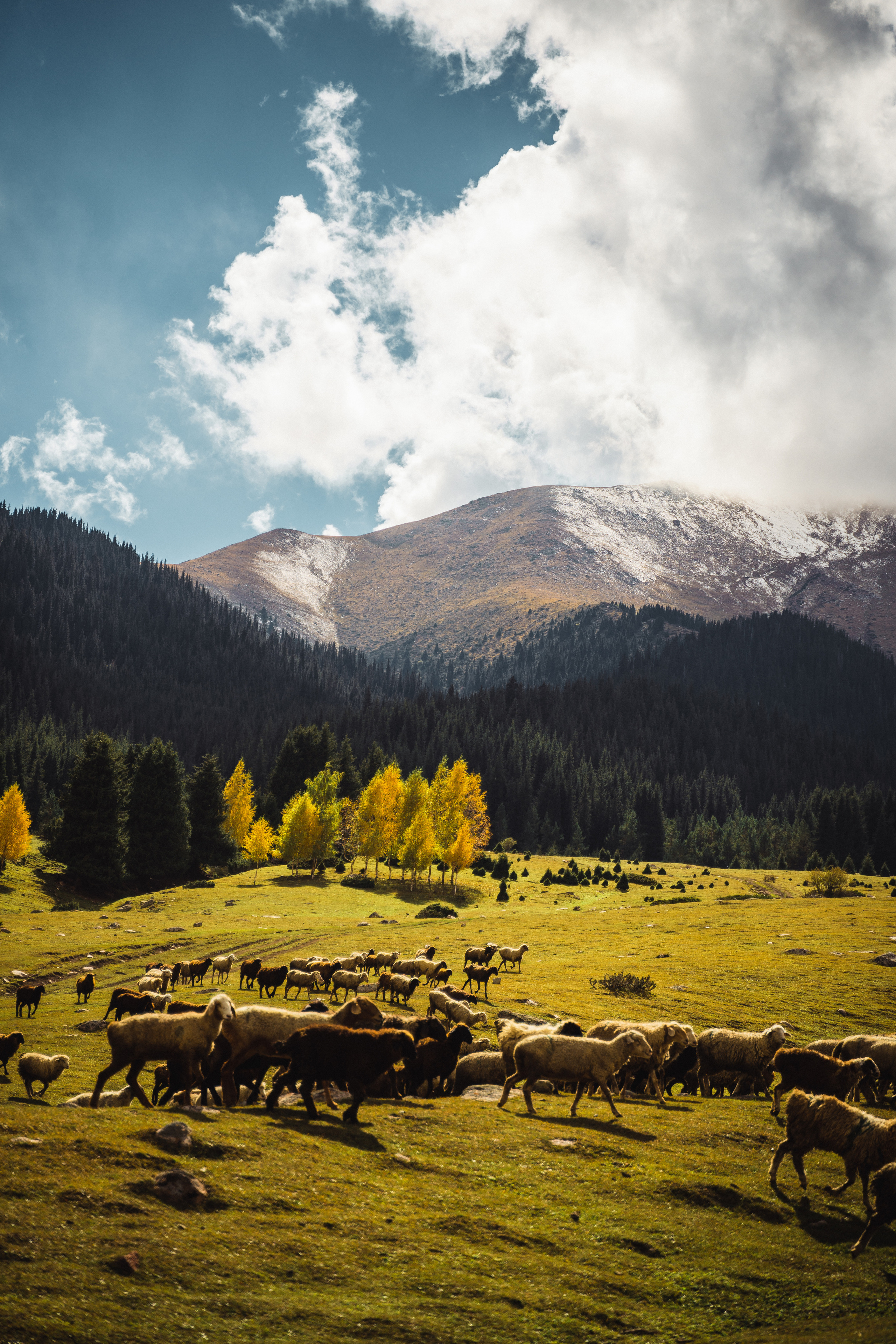 Nature. Спортивный и не только фотограф в Санкт-Петербурге- Артём Золотарёв