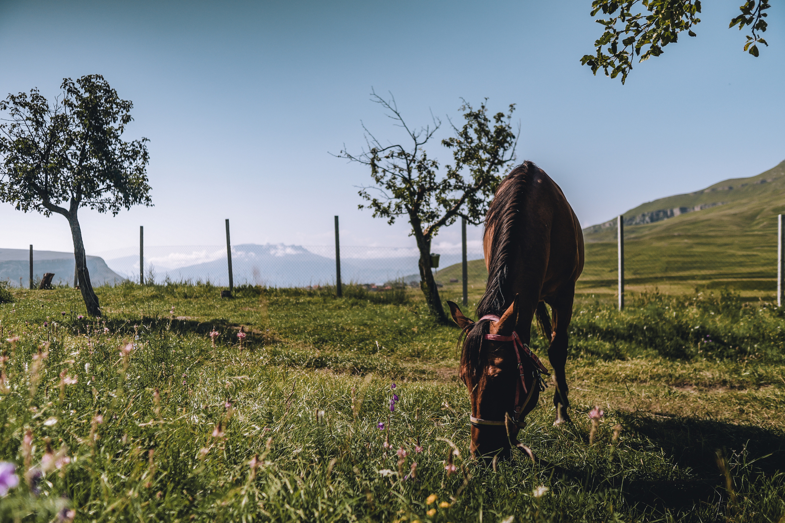 Nature. Спортивный и не только фотограф в Санкт-Петербурге- Артём Золотарёв