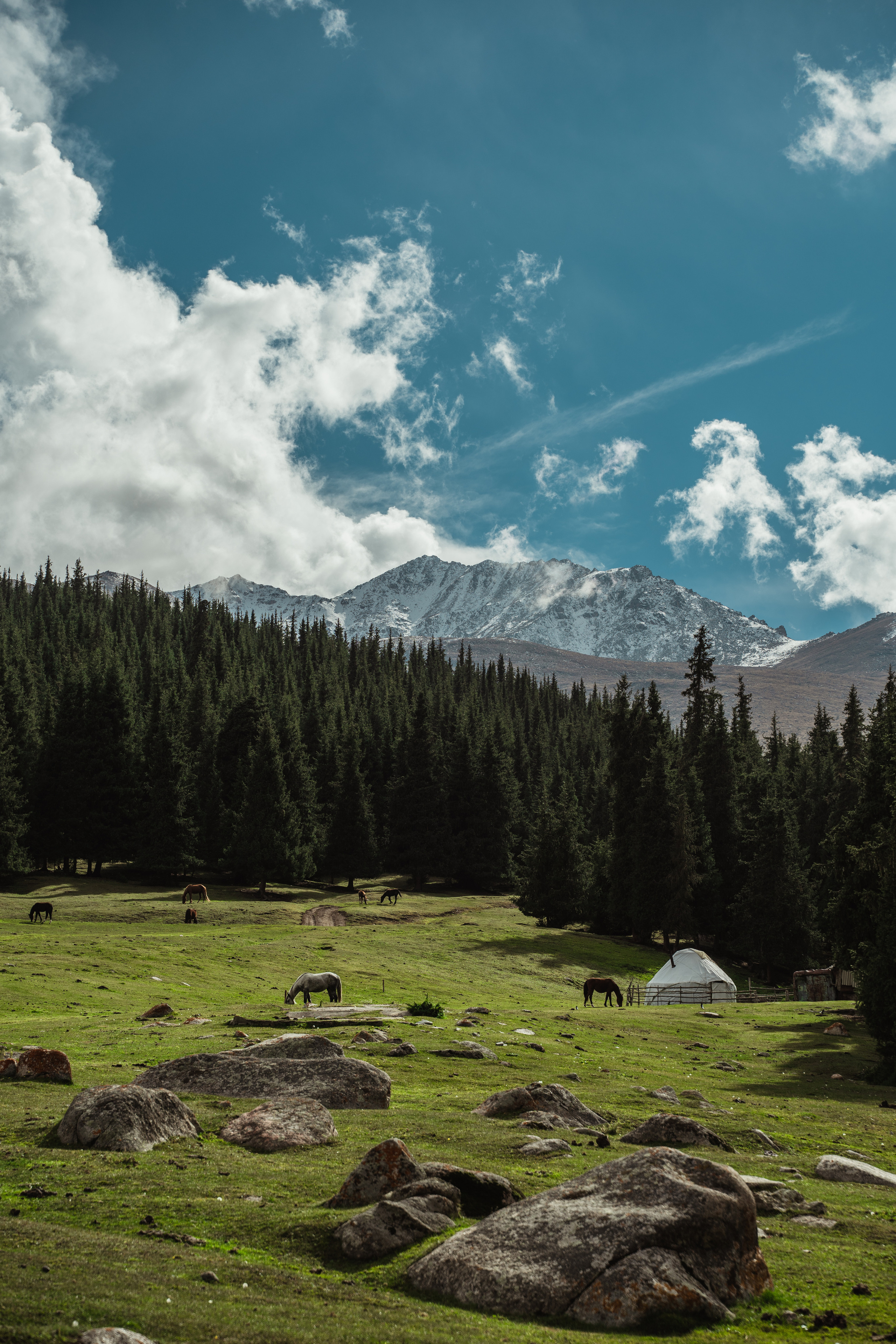 Nature. Спортивный и не только фотограф в Санкт-Петербурге- Артём Золотарёв