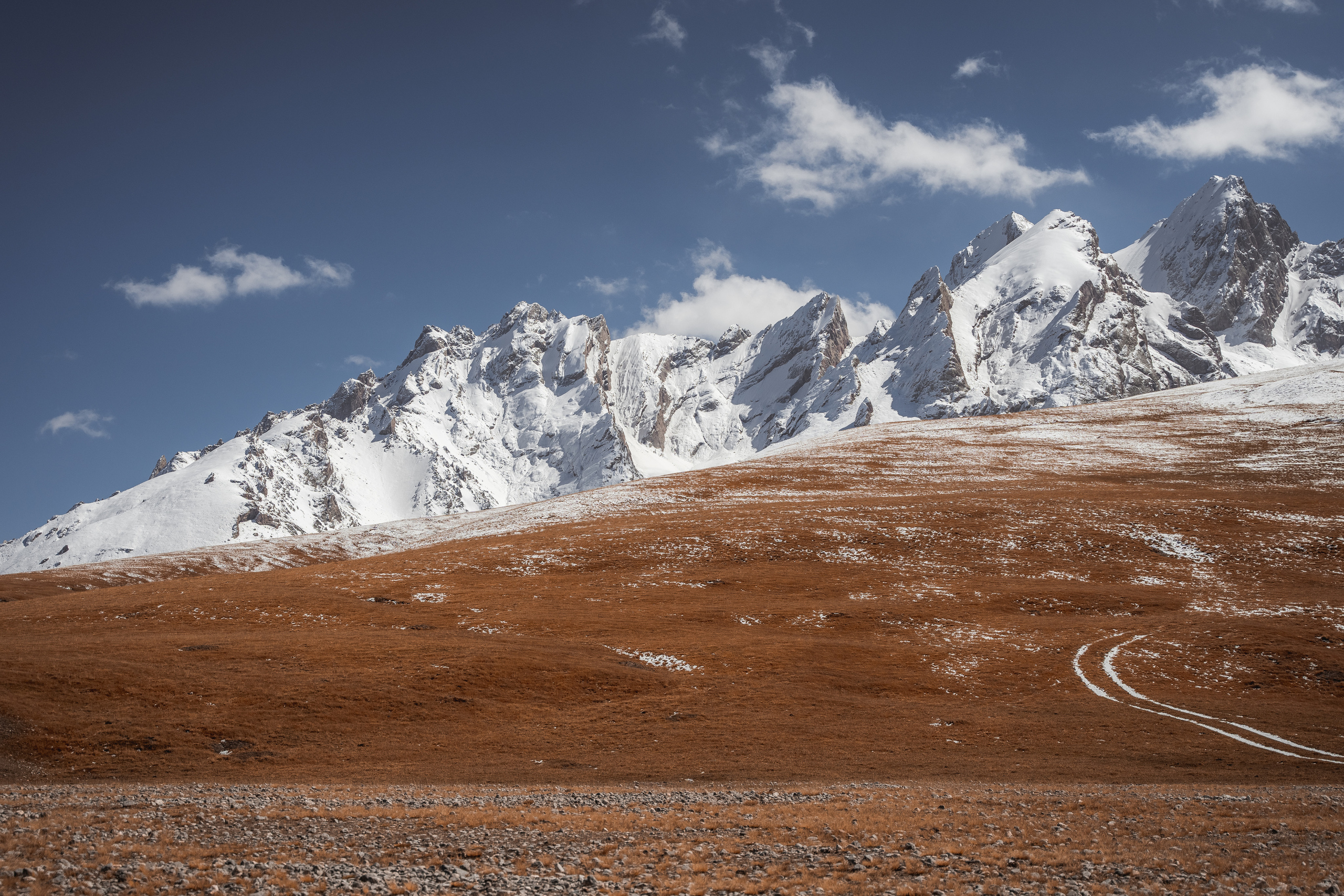 Nature. Спортивный и не только фотограф в Санкт-Петербурге- Артём Золотарёв
