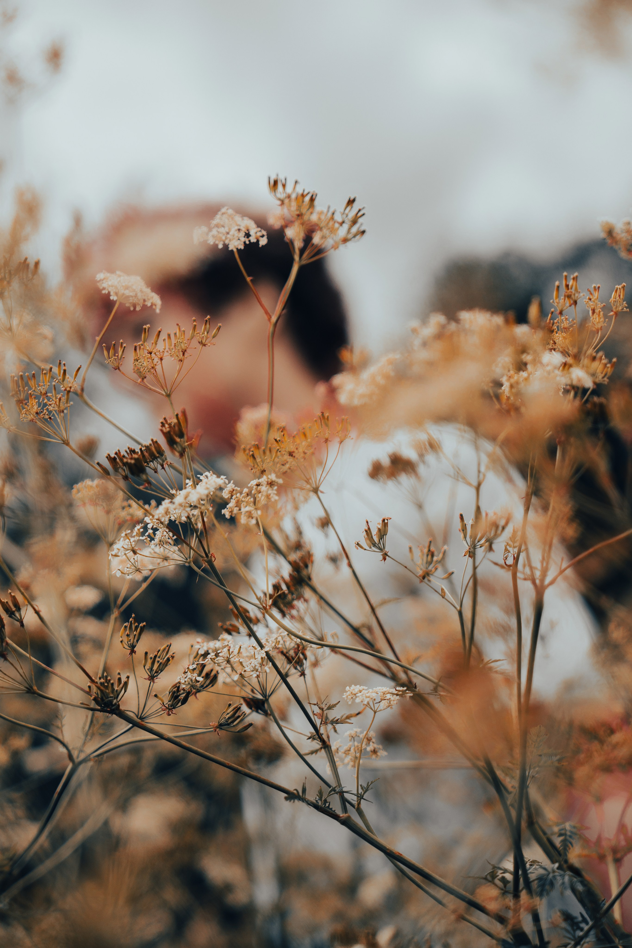 Фотосессия в поле. ТриМедиа Продакшн