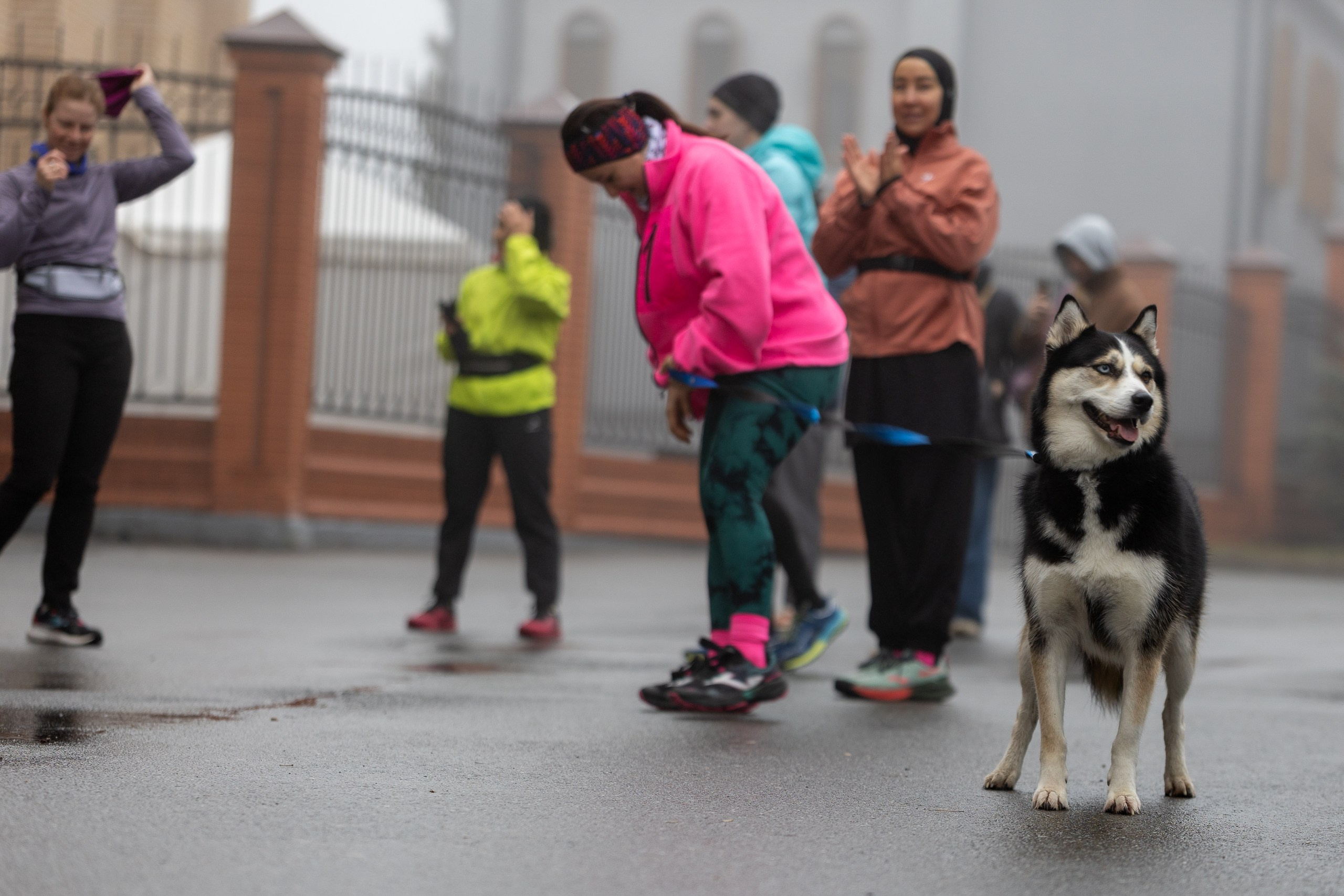 Беговой клуб 5 вёрст. 29 ноября 2025. Главная