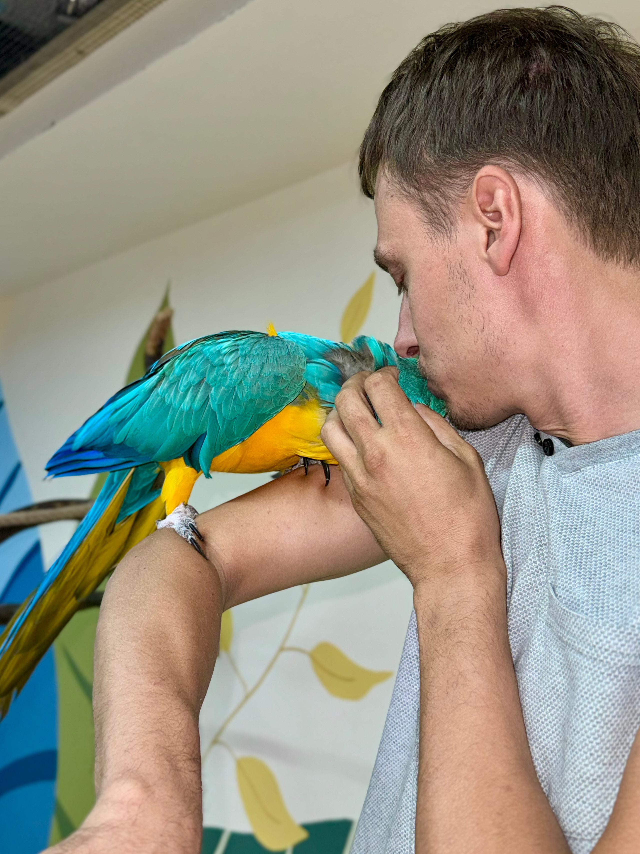 Попугайчики и детки. Фотограф и видеограф Апокина Мария Москва