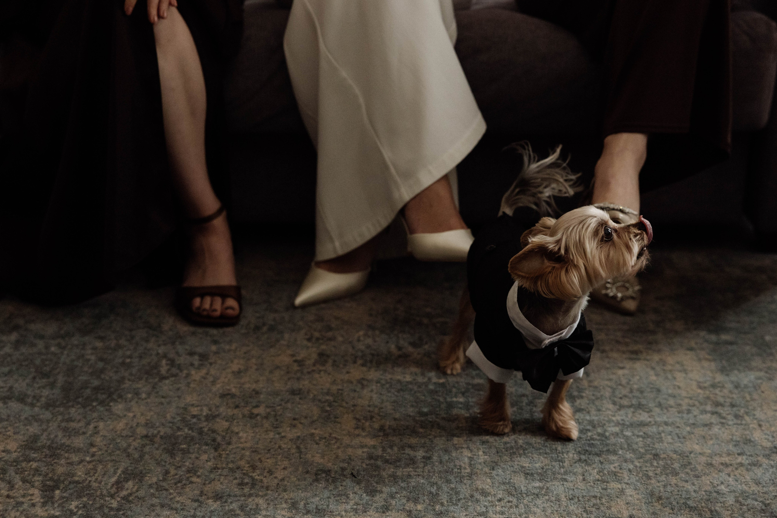 Даня & Олеся. Свадебный фотограф Красноярск Элина Леонова