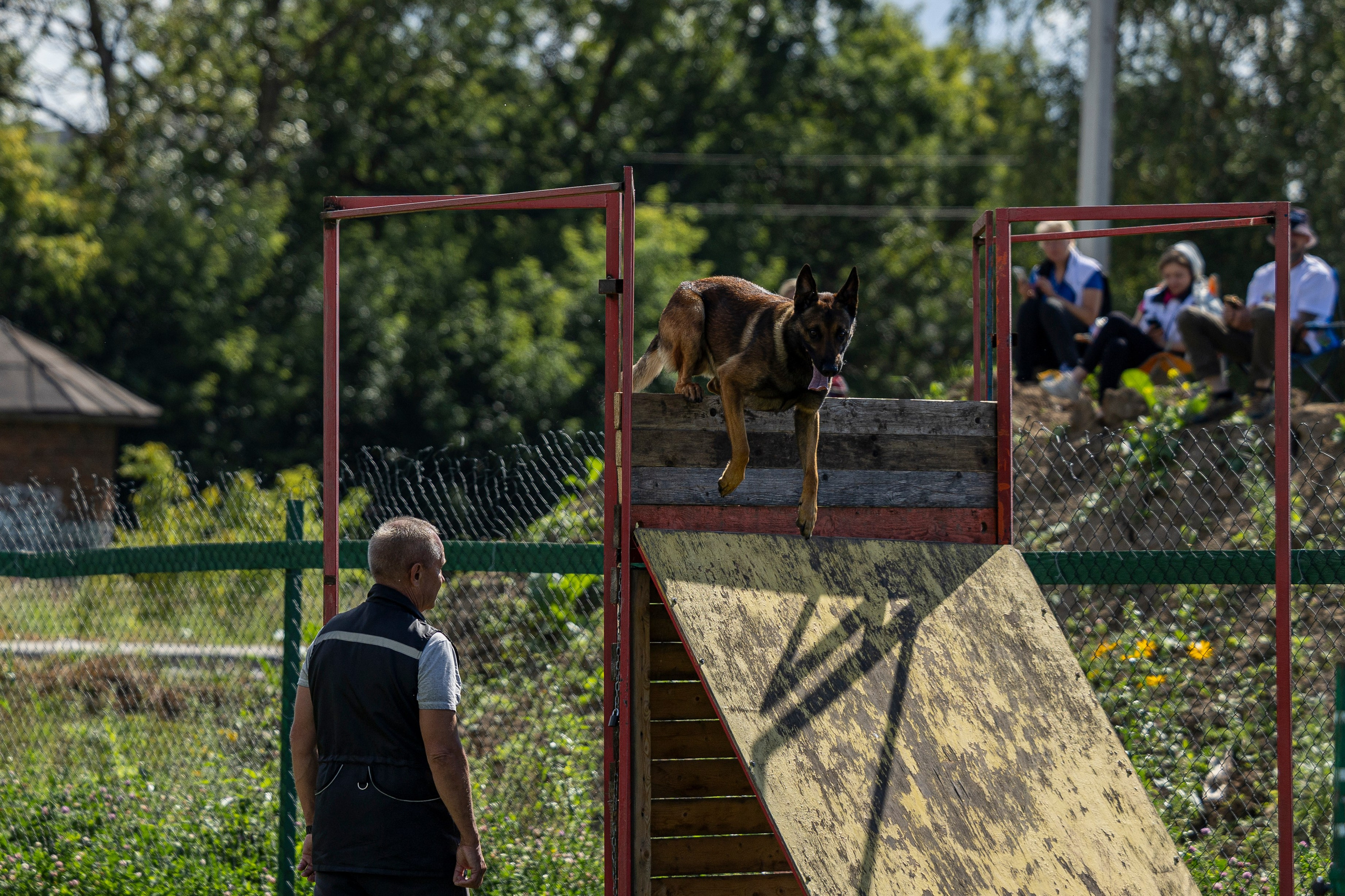 Соревнования по Мондьорингу г. Вологда 10-11.08.2024. Фотограф-анималист Анна Маринич