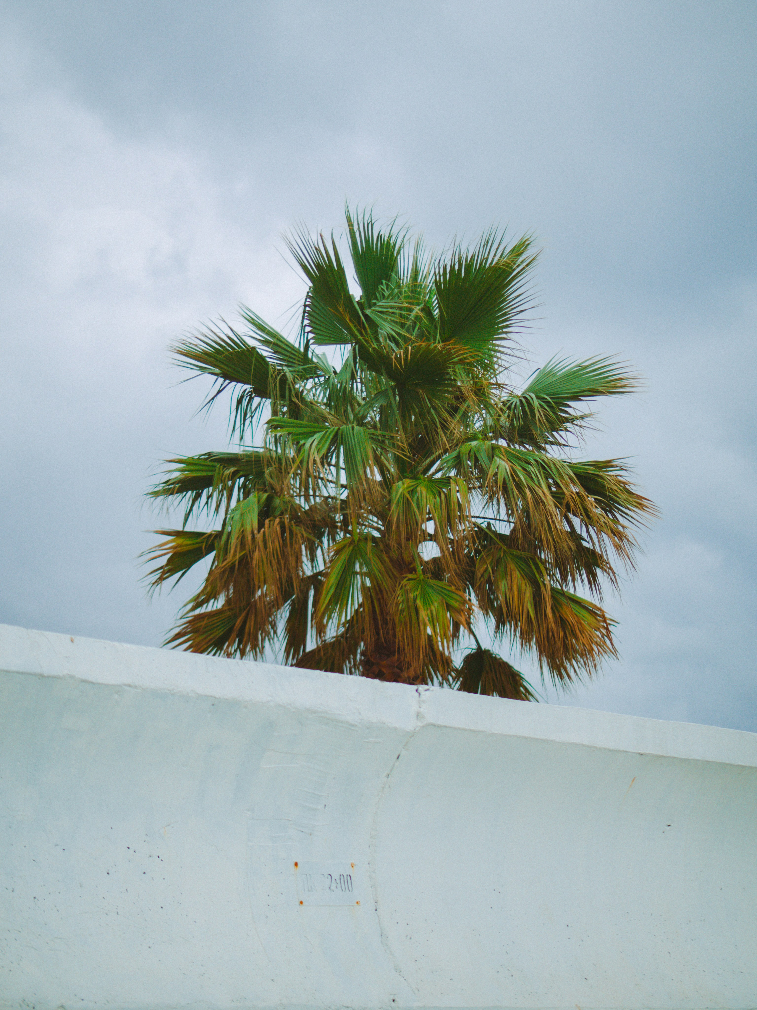 Seaside. SHILOVA PHOTO. Шилова Екатерина. Фотограф. Москва