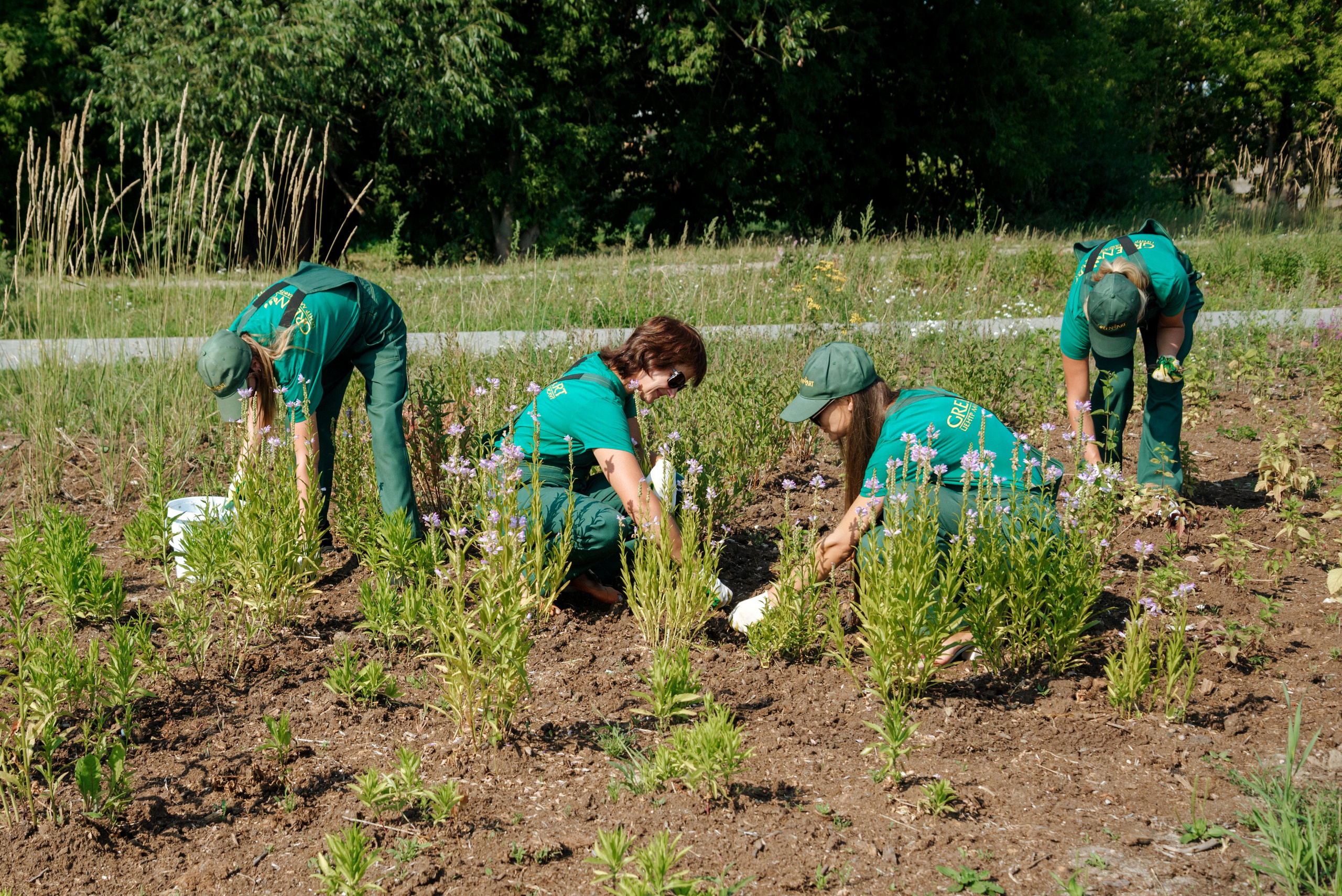 Фотосессия для компаний, предприятий, ИП. Фотограф Иваново, Тейково Татьяна Гужва
