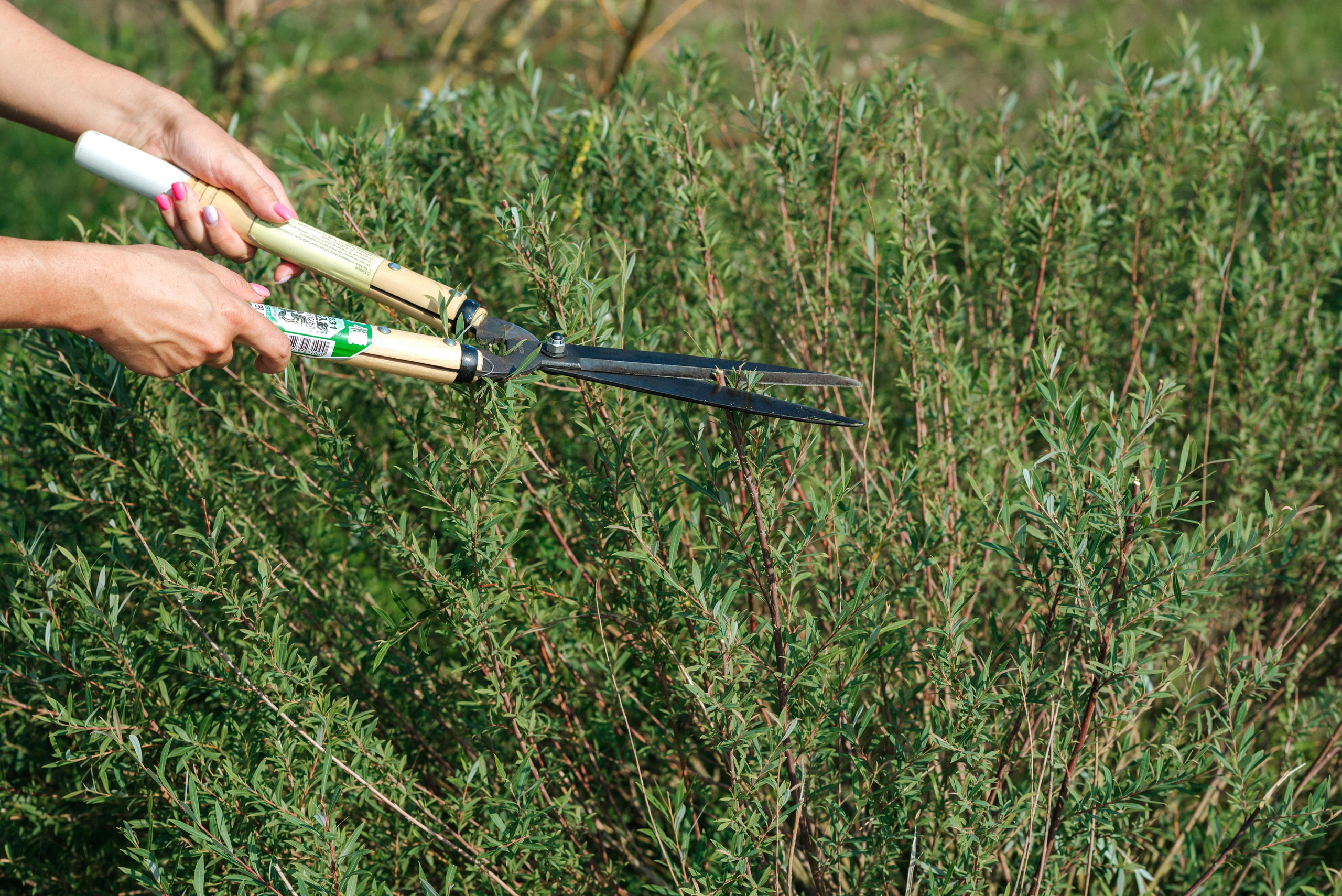 Фотосессия для компаний, предприятий, ИП. Фотограф Иваново, Тейково Татьяна Гужва