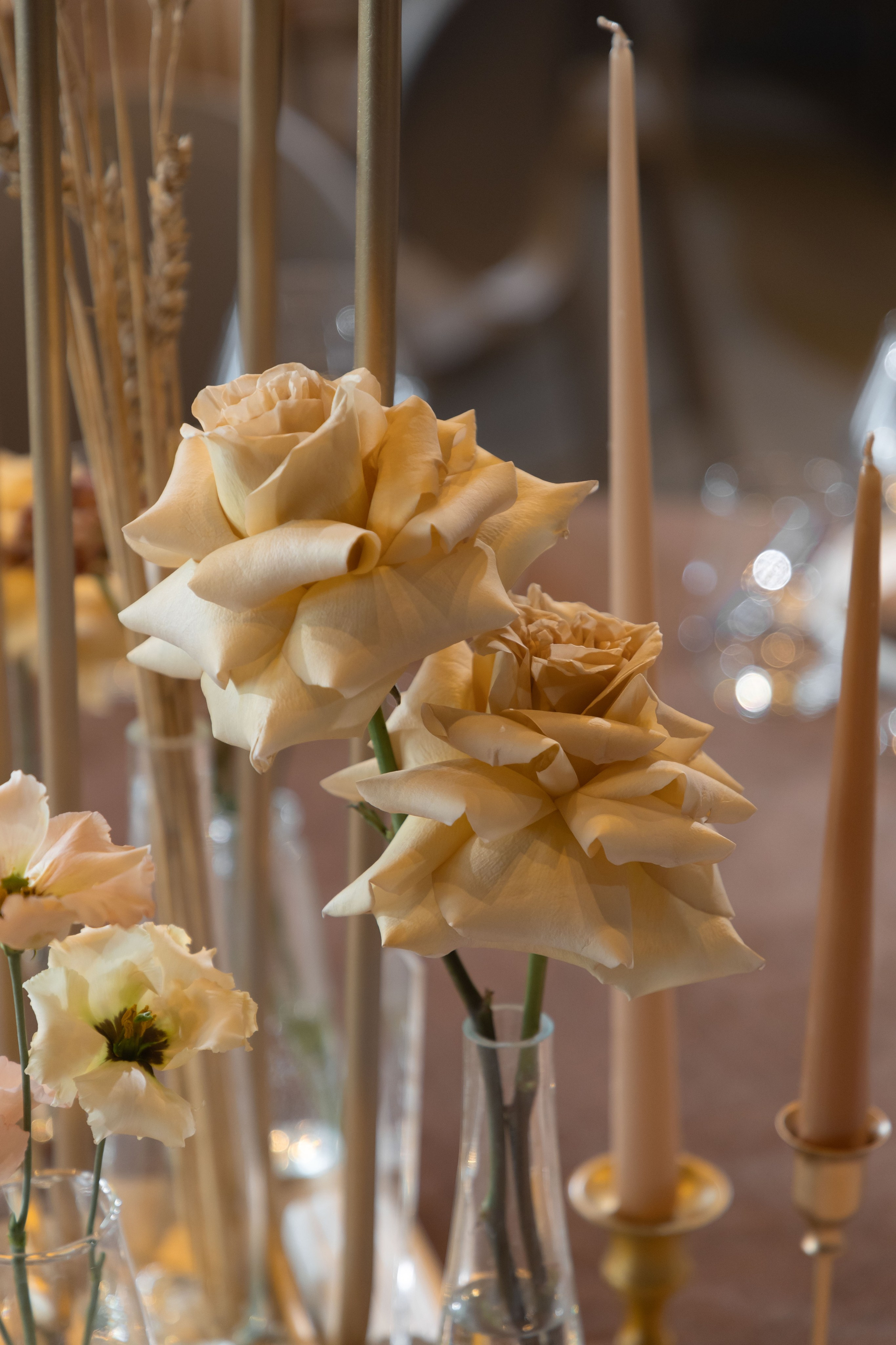 Константин и Дарья. Лада Канана Свадебный и семейный фотограф