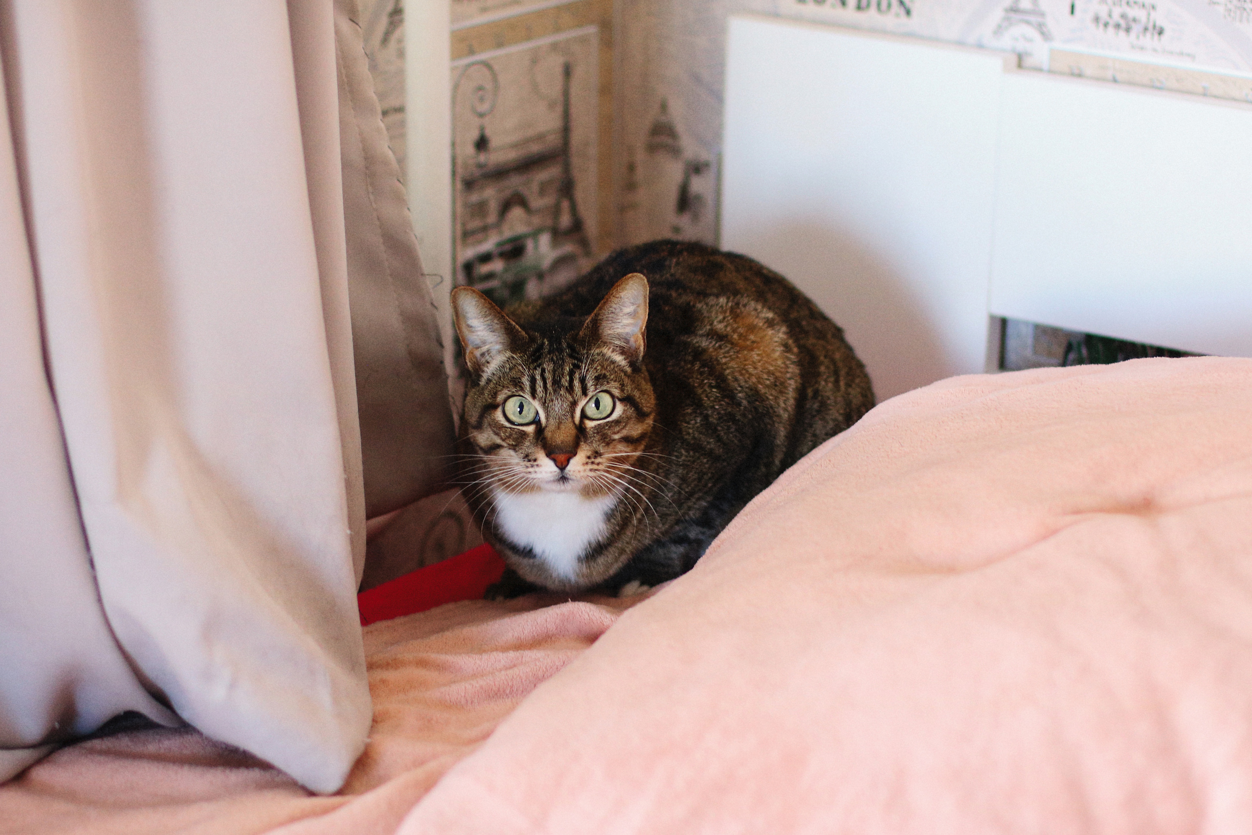 Саша и Коля. Истории о вас и ваших чувствах. Фотограф Ольга Ан