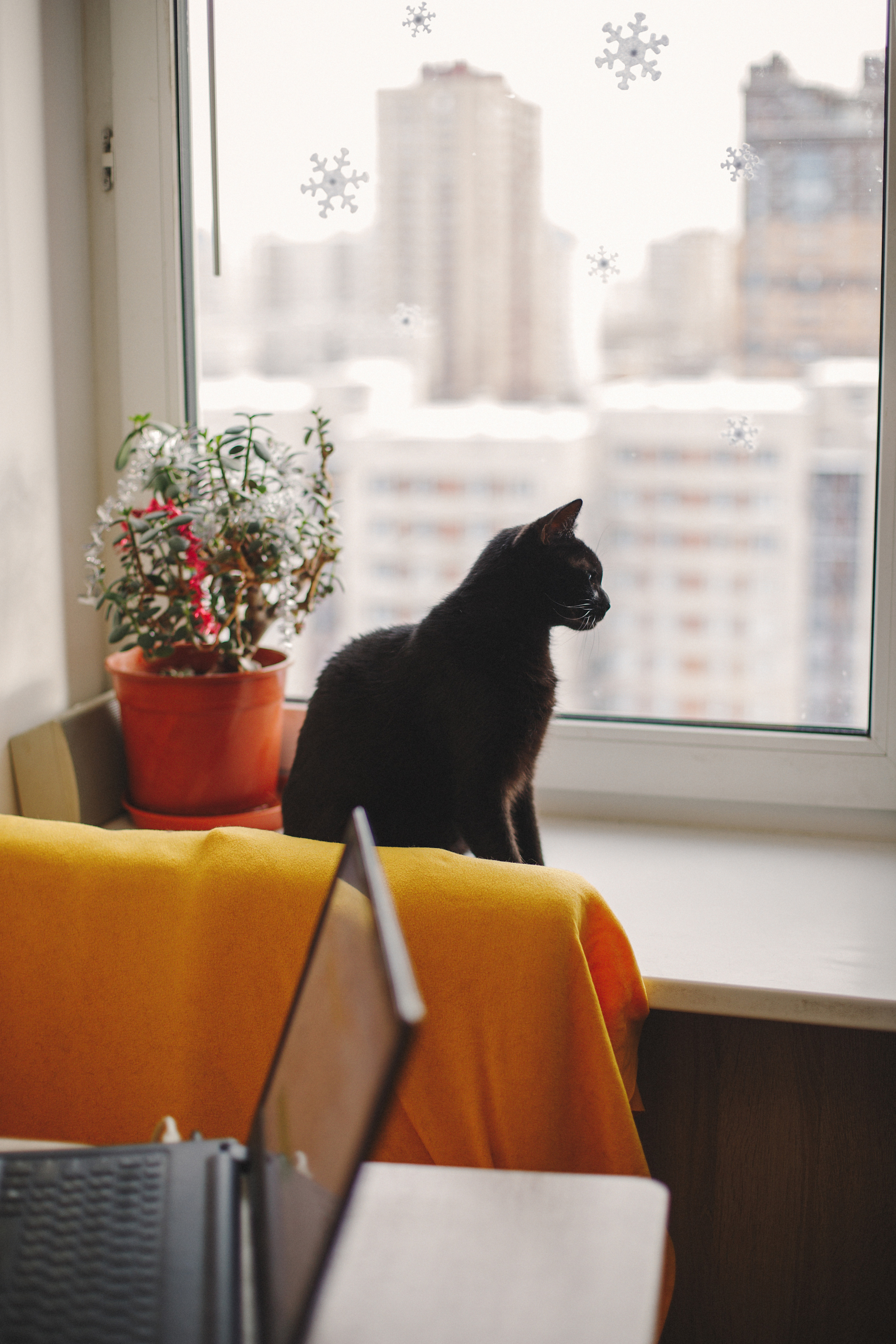 Саша и Коля. Истории о вас и ваших чувствах. Фотограф Ольга Ан