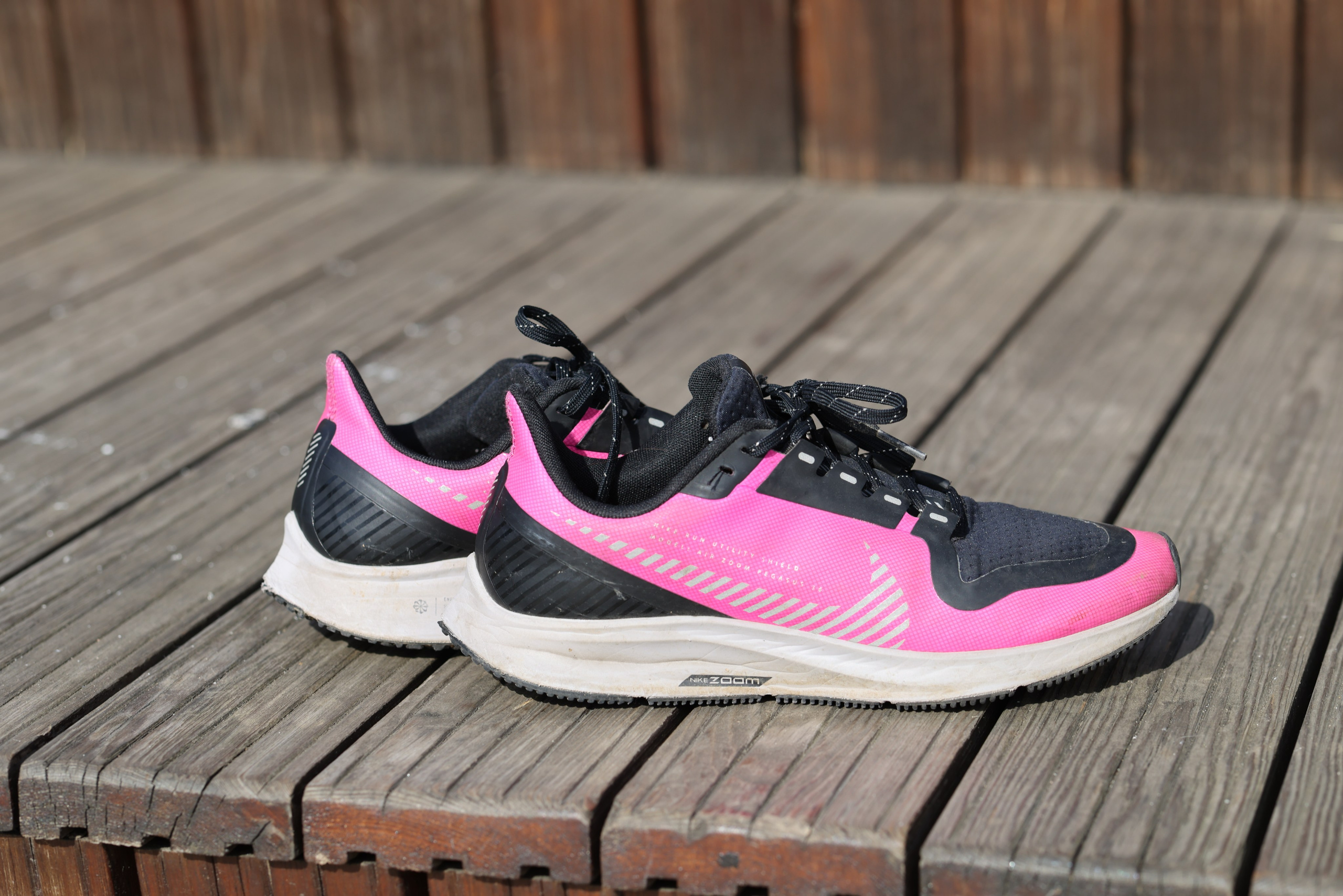 Последний летний старт 5 вёрст Павшинская пойма. Фотограф Сергей Ловкий